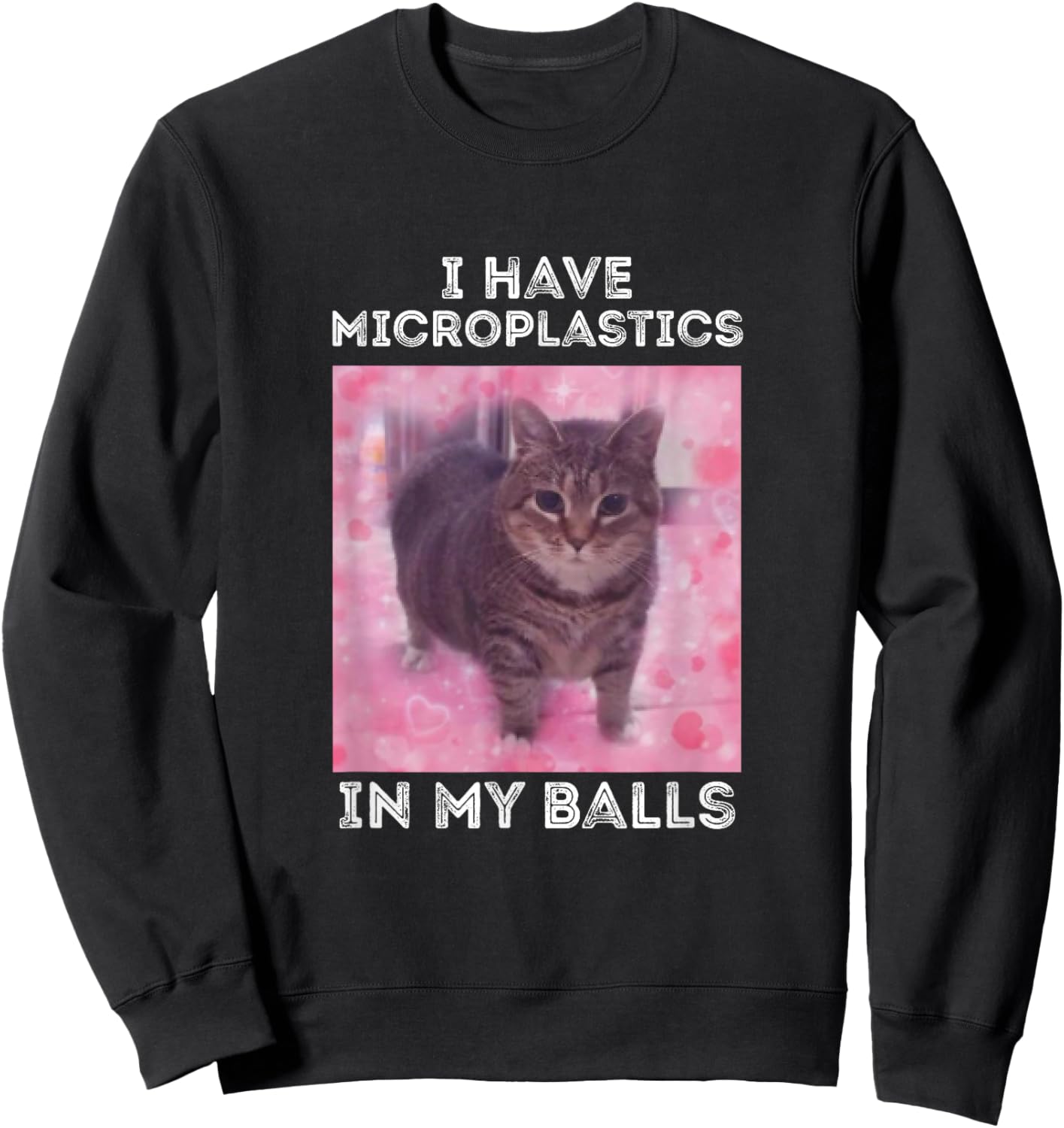 I Have Microplastics in my Balls Funny Cat Meme Sweatshirt - Sweatshirt | Black