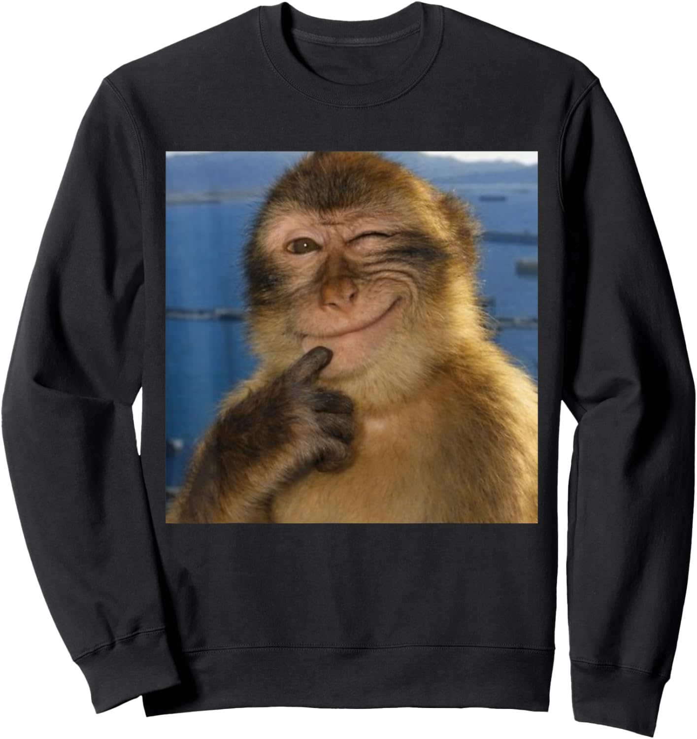 Thinking Monkey Meme Smiling Funny Brainrot Sweatshirt - Sweatshirt | Black