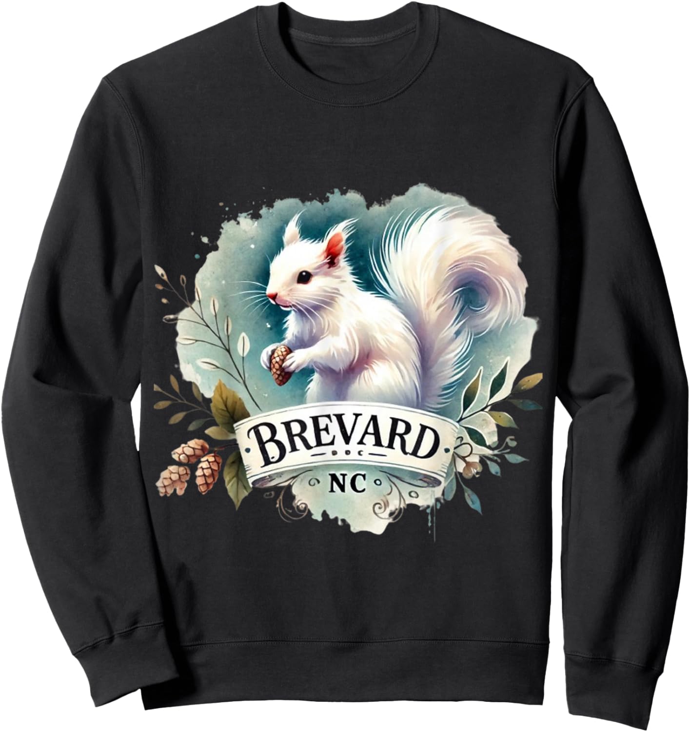 Salter Designs Brevard NC White Squirrel Kids Classic Fit Polyester 100% Black Short Sleeve Sweatshirt - Sweatshirt | Black