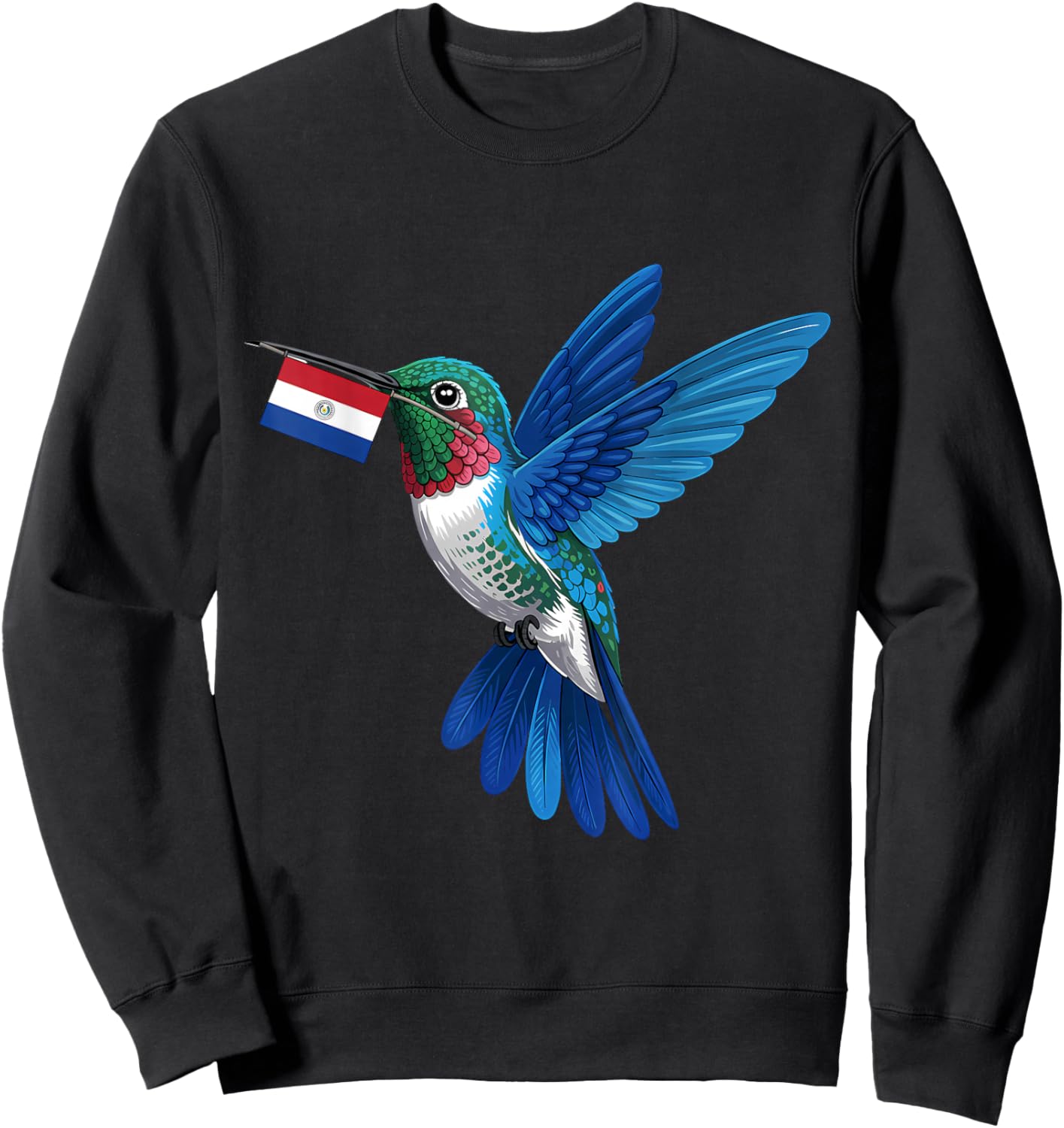 Paraguay Roots Hummingbird Paraguayan Flag Sweatshirt - Sweatshirt | Black