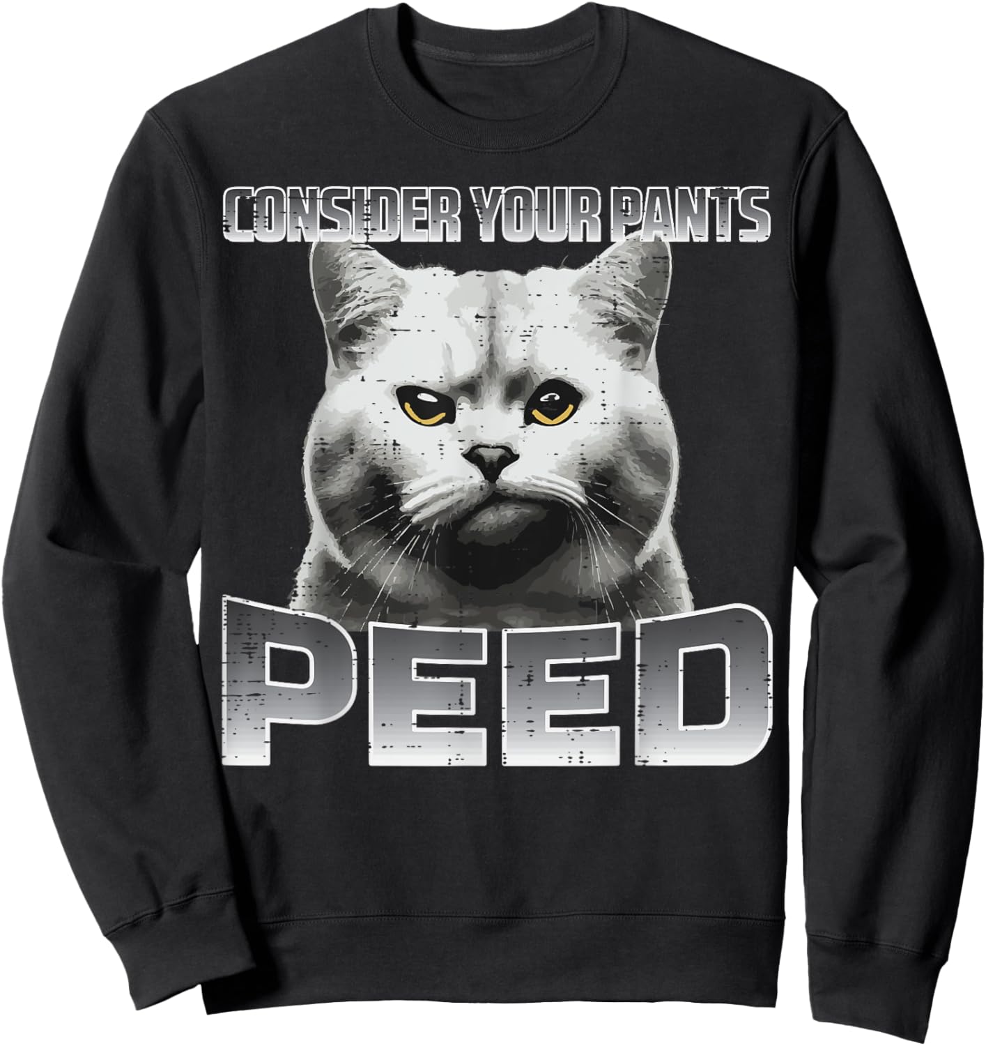 Funny Cat Consider Your Pants Peed Silly Meme Men Women Kids Sweatshirt - Sweatshirt | Black