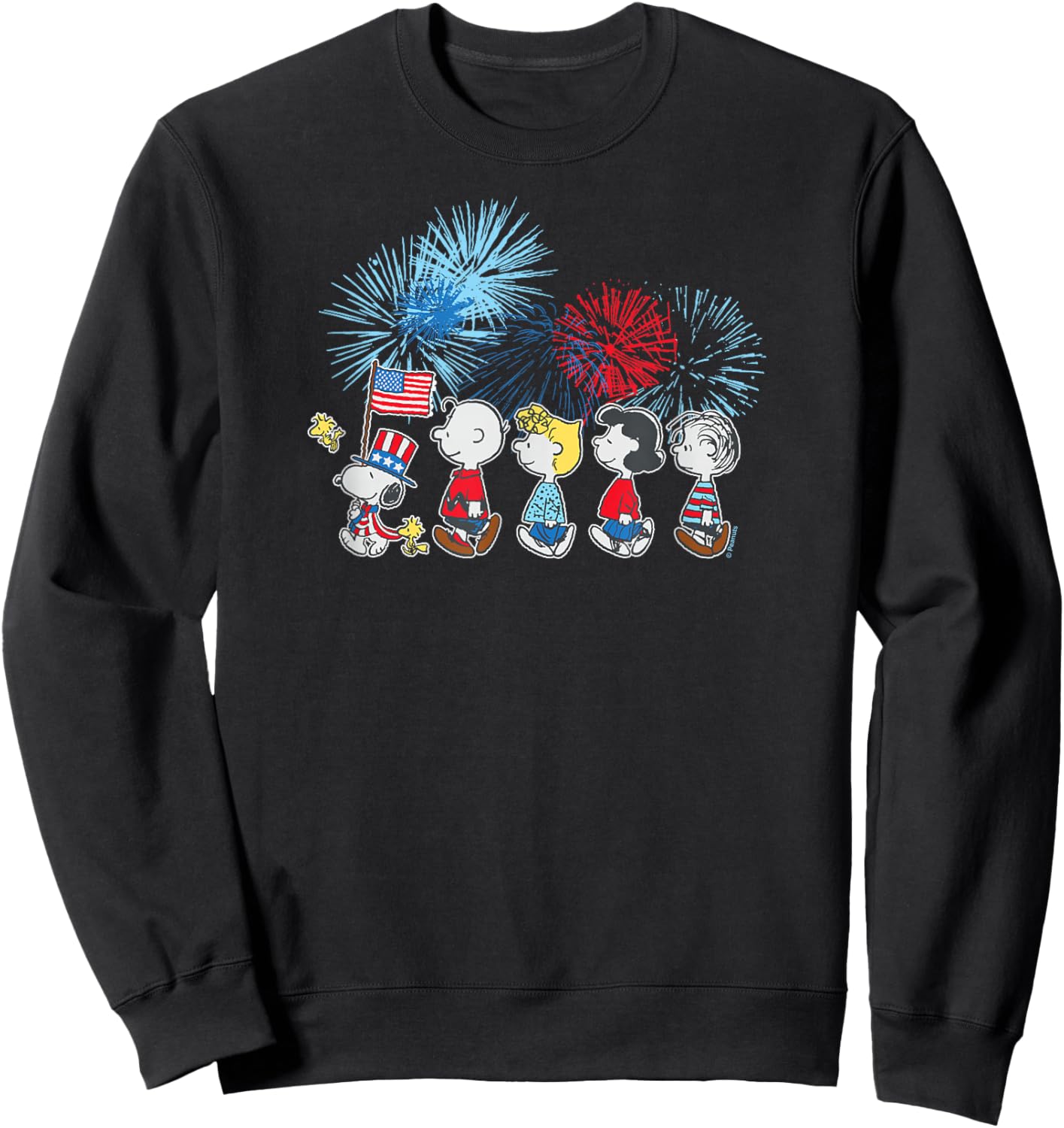Patriotic Parade and Fireworks Sweatshirt - Sweatshirt | Black