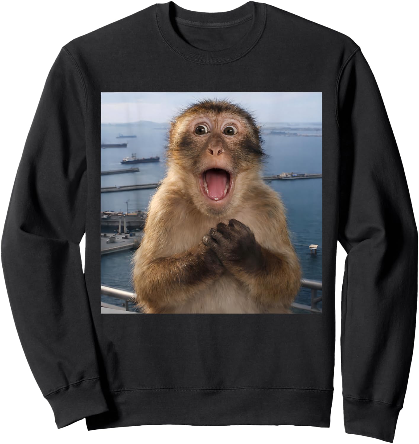 Streetwear Humor Monkey Meme for Youth Men Women Sweatshirt - Sweatshirt | Black
