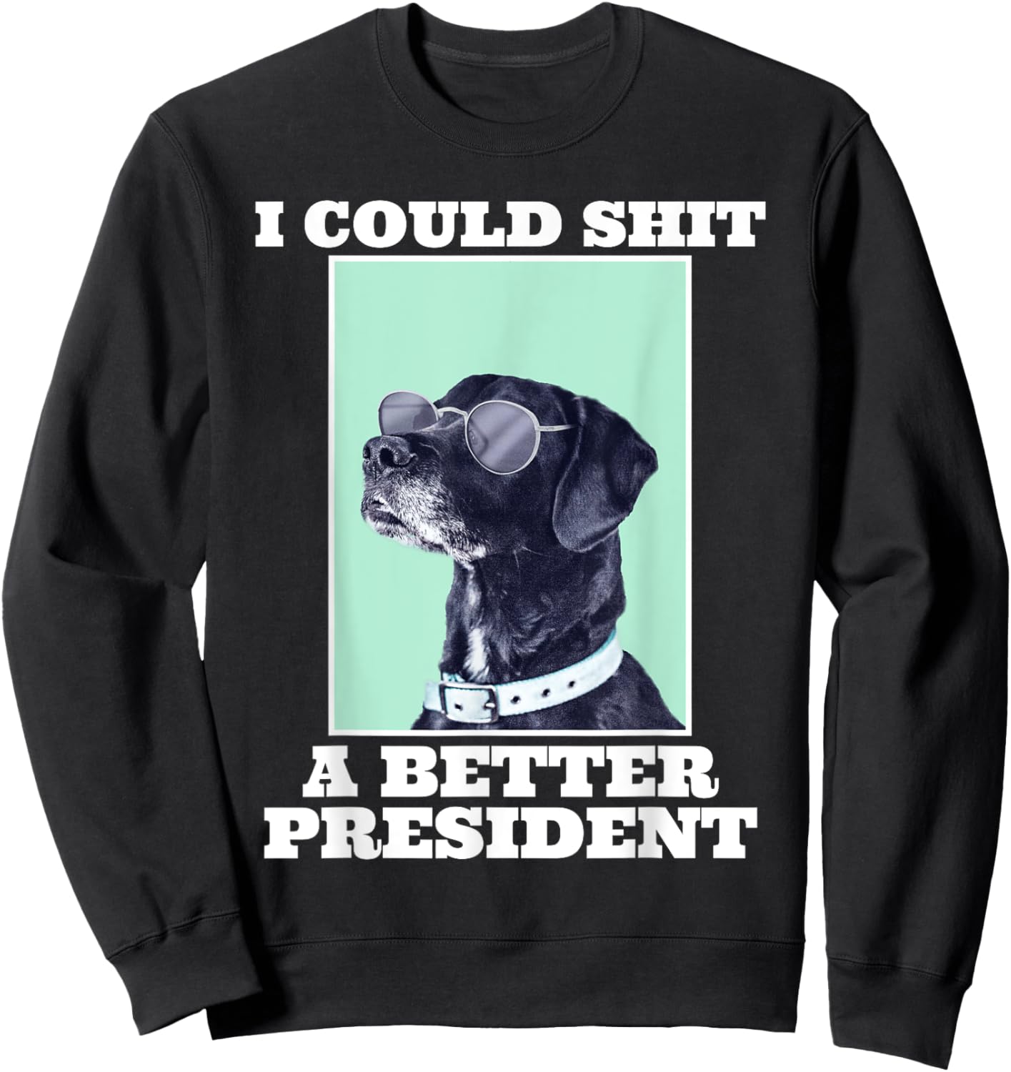 I Could Shit A Better President Funny Dogs Lovers Sarcasm Sweatshirt - Sweatshirt | Black