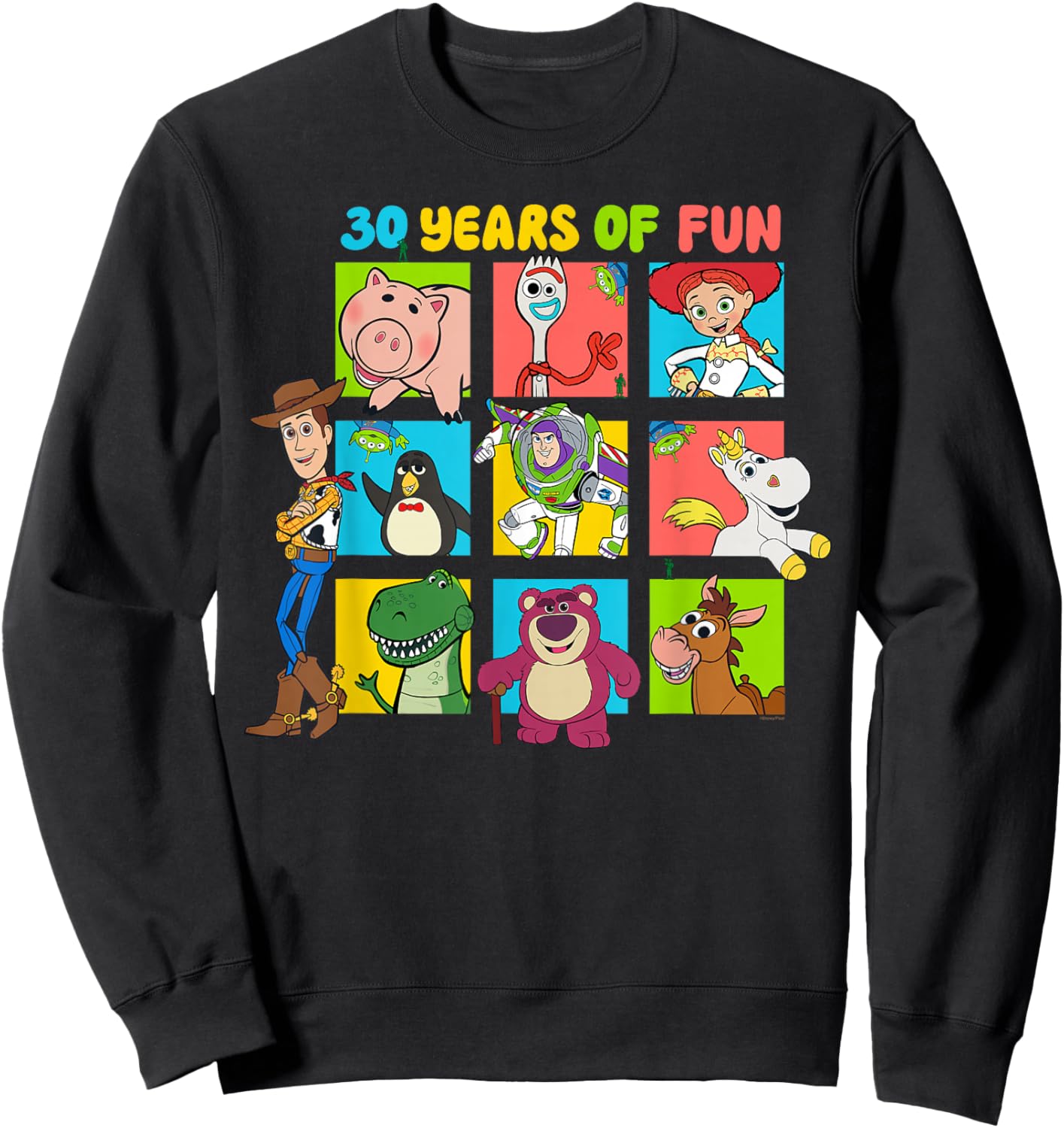 Disney & Pixar's Toy Story 30th Anniversary 30 Years of Fun Sweatshirt - Sweatshirt | Black