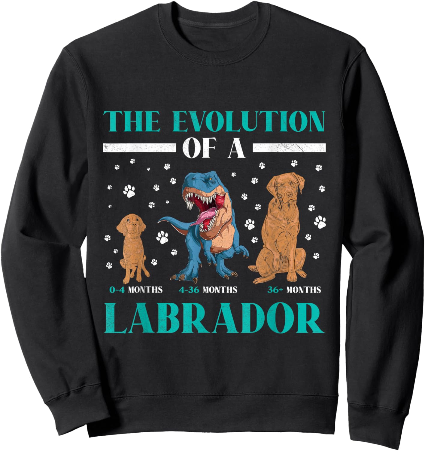 EVOLUTION OF A LABRADOR RETRIEVER Owner Labradors Sweatshirt - Sweatshirt | Black