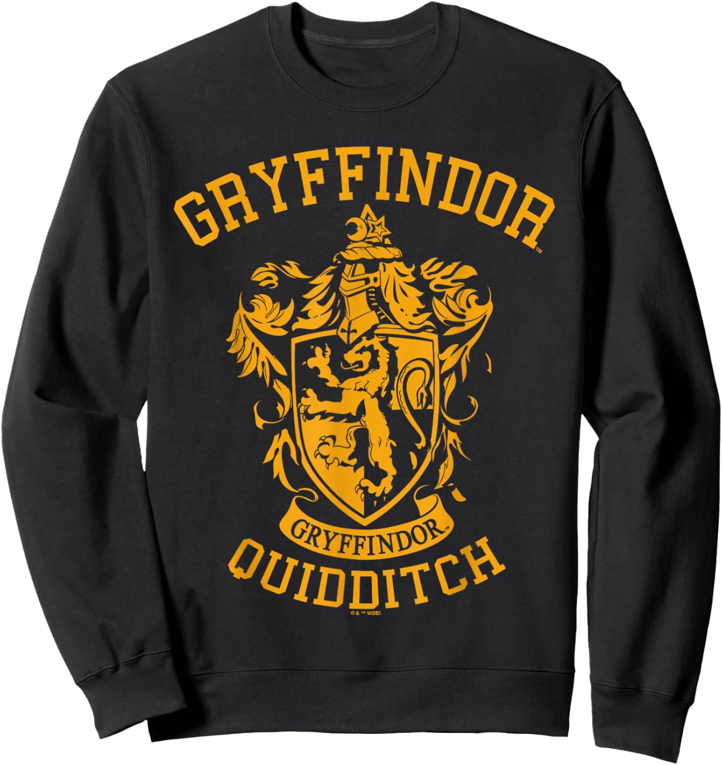 Harry Potter Gryffindor Quidditch One Color Sweatshirt - Sweatshirt | Black