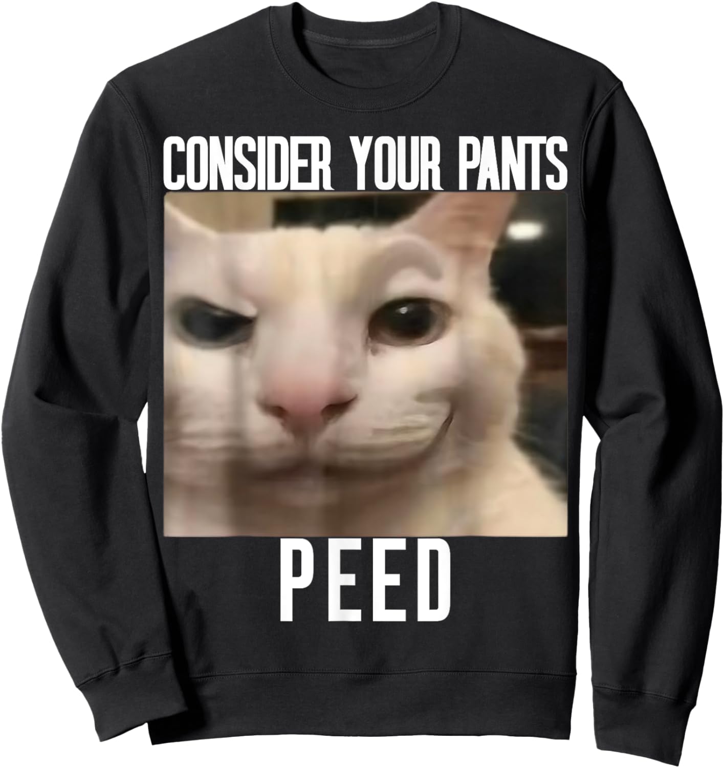 Consider Your Pants Peed Weird Cat Meme Funny Memes Brainrot Sweatshirt - Sweatshirt | Black