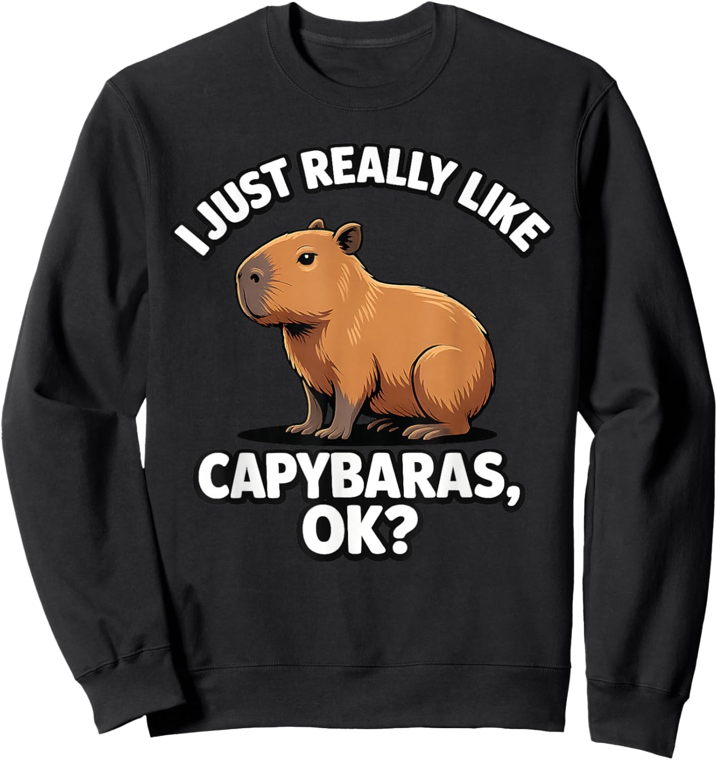 I Just Really Like Capybaras Ok Cute Capybara Men Women Kids Sweatshirt - Sweatshirt | Black