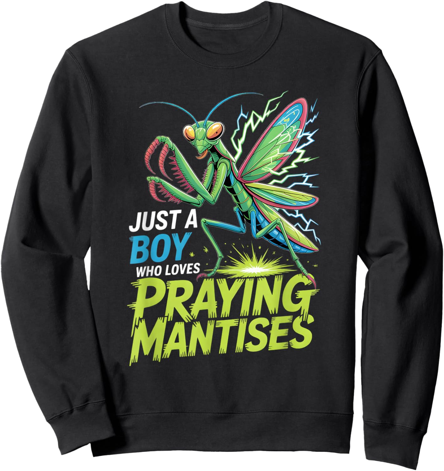 Boys Praying Mantis Sweatshirt - Sweatshirt | Black