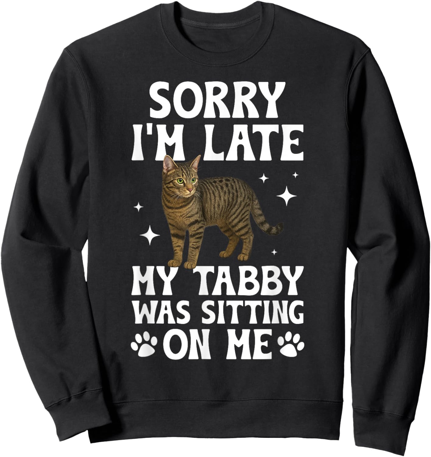 Grey Tabby Cat Owner Funny Gray Tabby Cat Lover Sweatshirt - Sweatshirt | Black