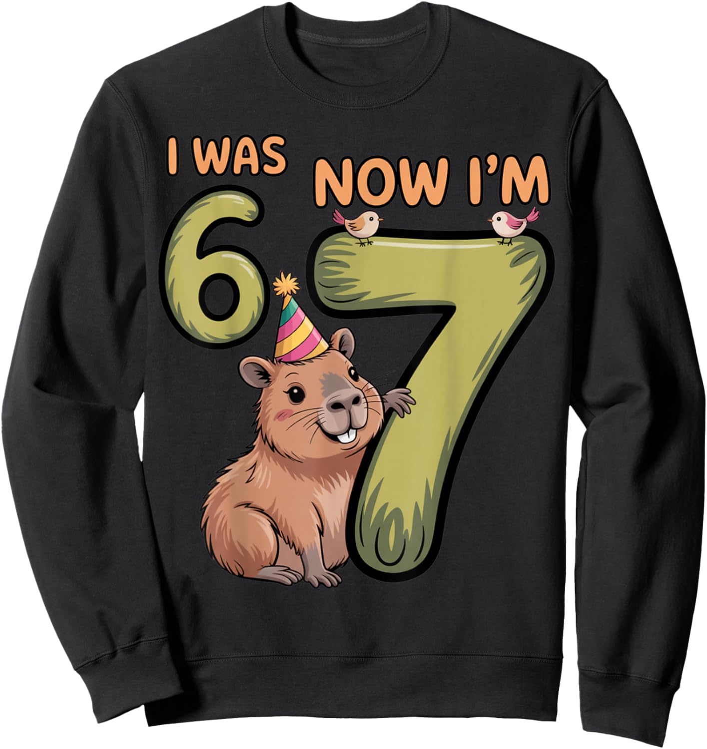 Birthday Girl Boy I was 6 Now I'm 7 Six Seven Capybara 67 Sweatshirt - Sweatshirt | Black
