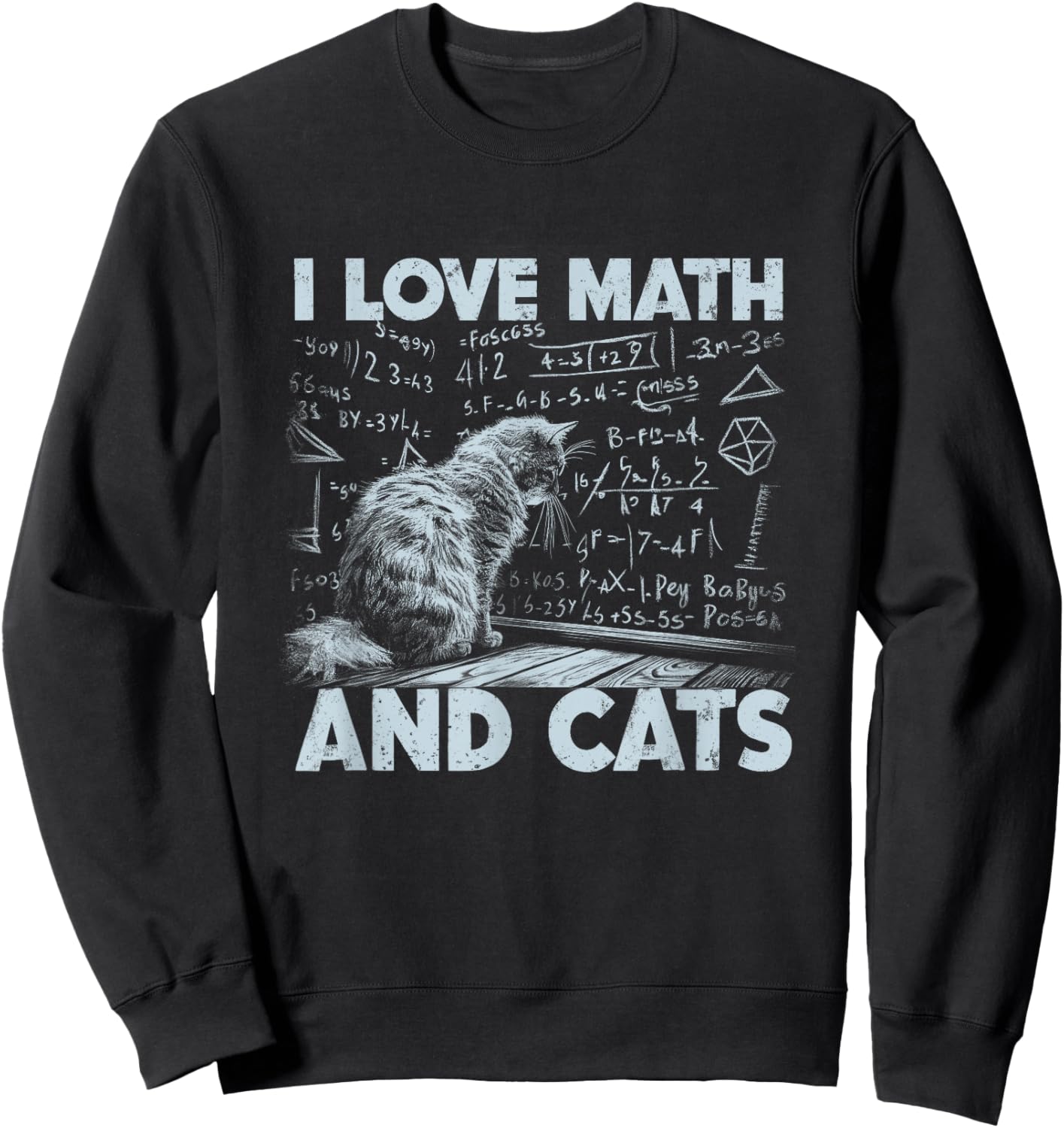 I Love Math And Cats Funny Cat Lover Science Teacher Student Sweatshirt - Sweatshirt | Black