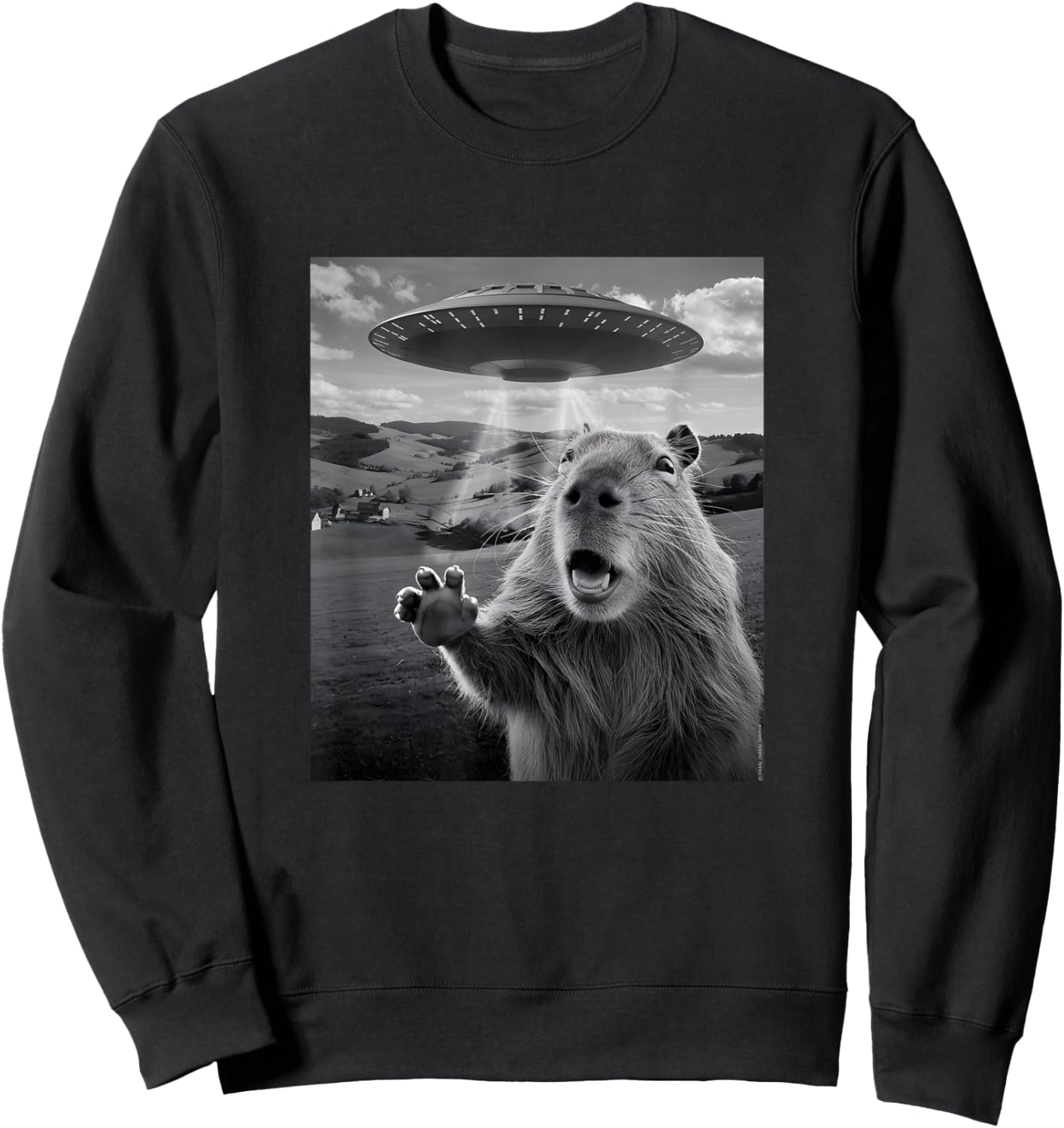 Alien UFO with Scared Capybara Funny UFO Sweatshirt - Sweatshirt | Black