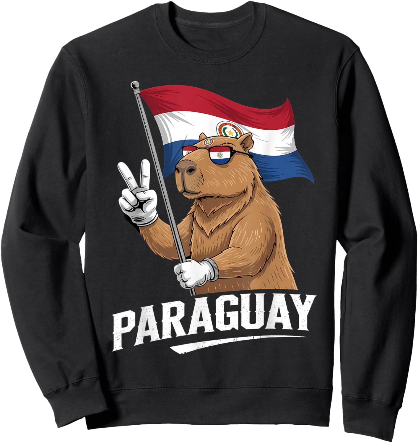 Paraguay Roots Capybara Paraguayan Flag Sweatshirt - Sweatshirt | Black