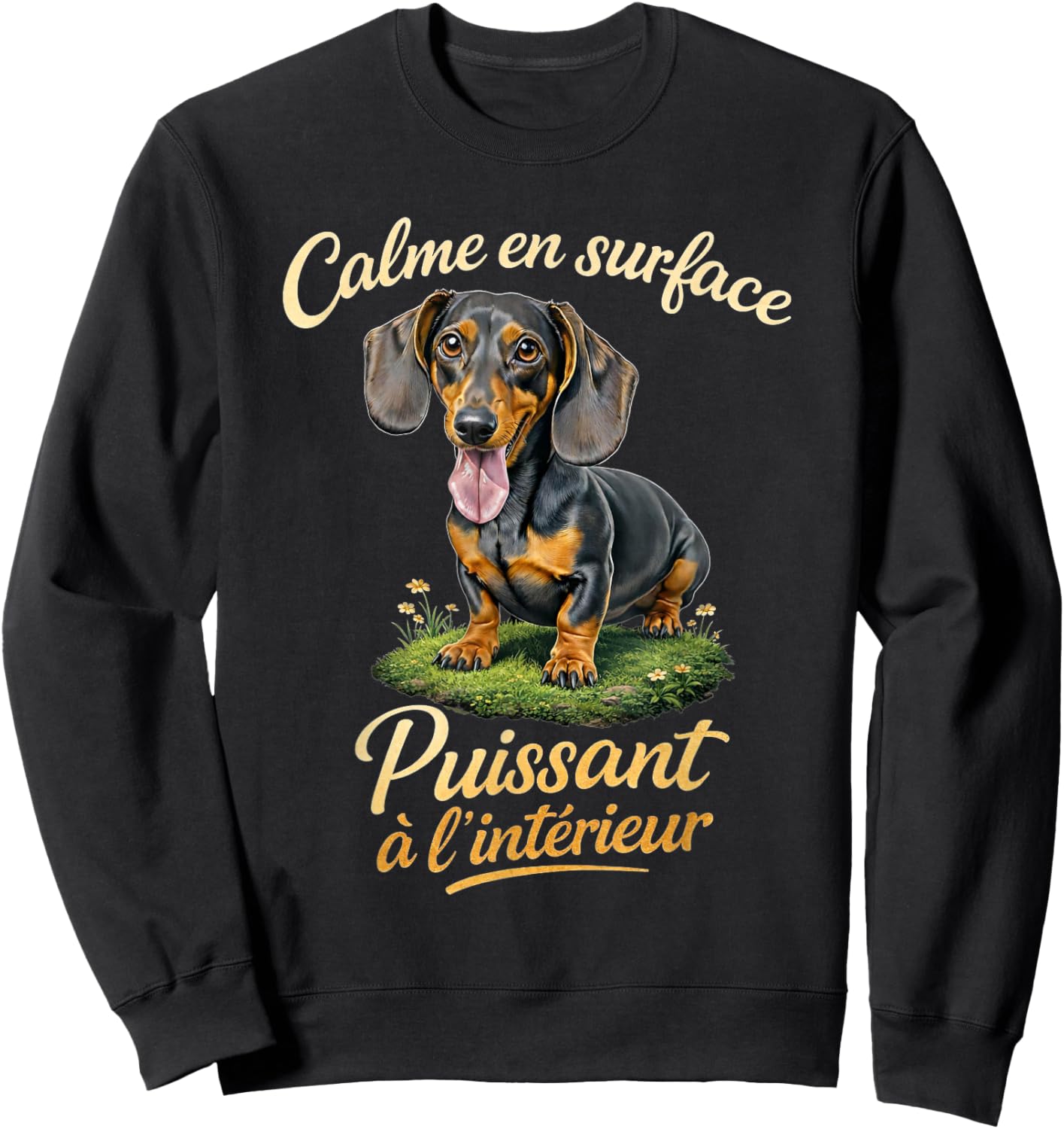 Idée Cadeau pour Fan de Chien et Amoureux de Teckel Sweatshirt - Sweatshirt | Black