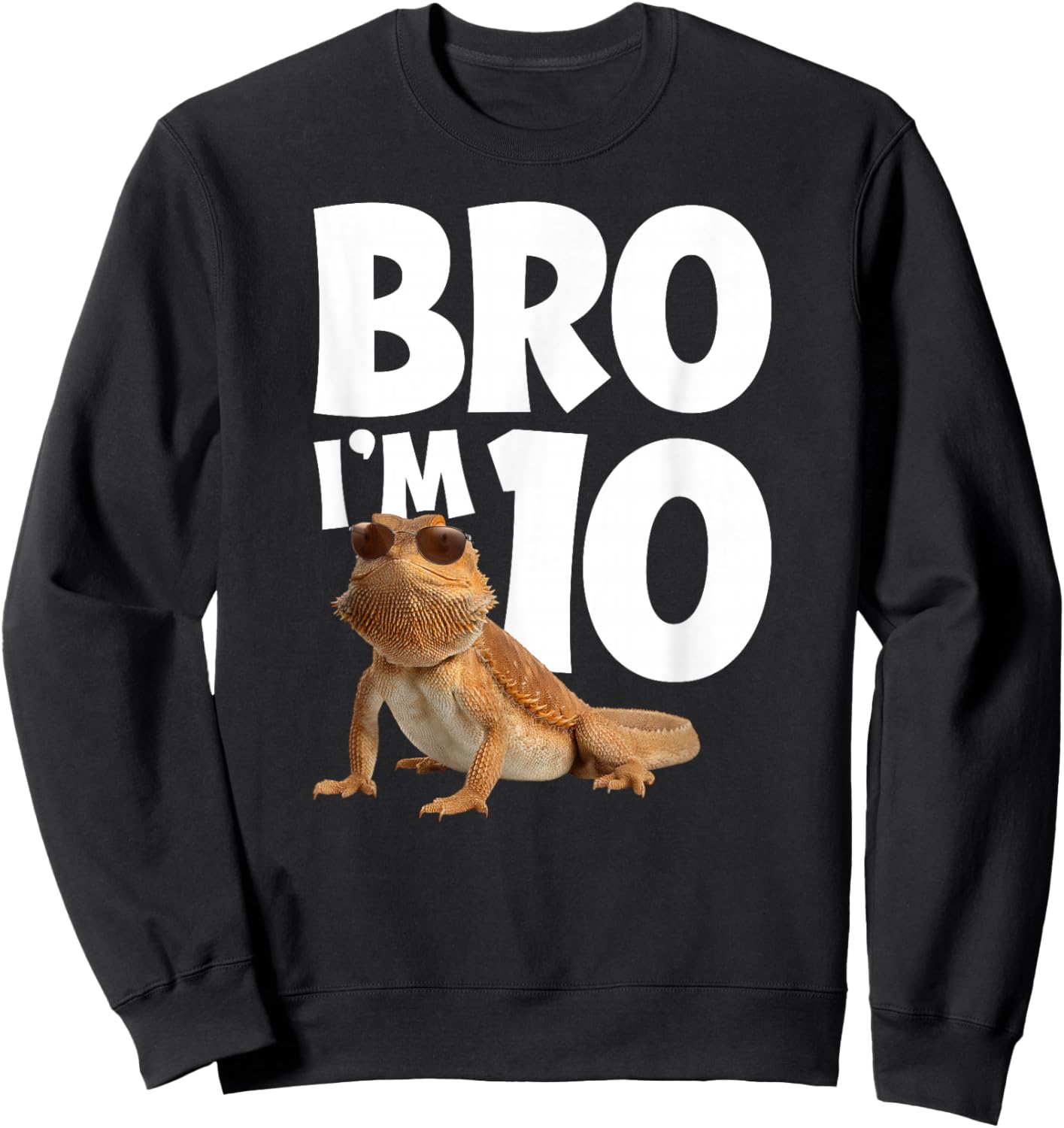 10th Reptile Birthday Ten Year Old Bearded Dragon Birthday Sweatshirt - Sweatshirt | Black