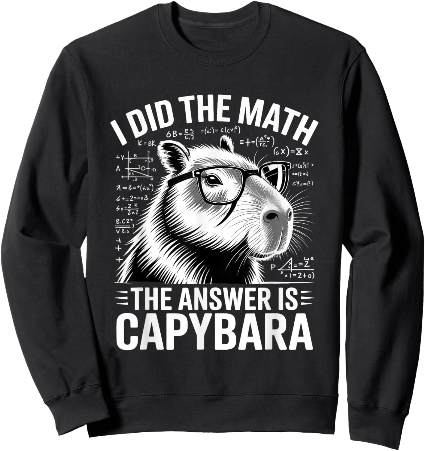 I Did The Math The Answer is Capybara Sweatshirt - Sweatshirt | Black