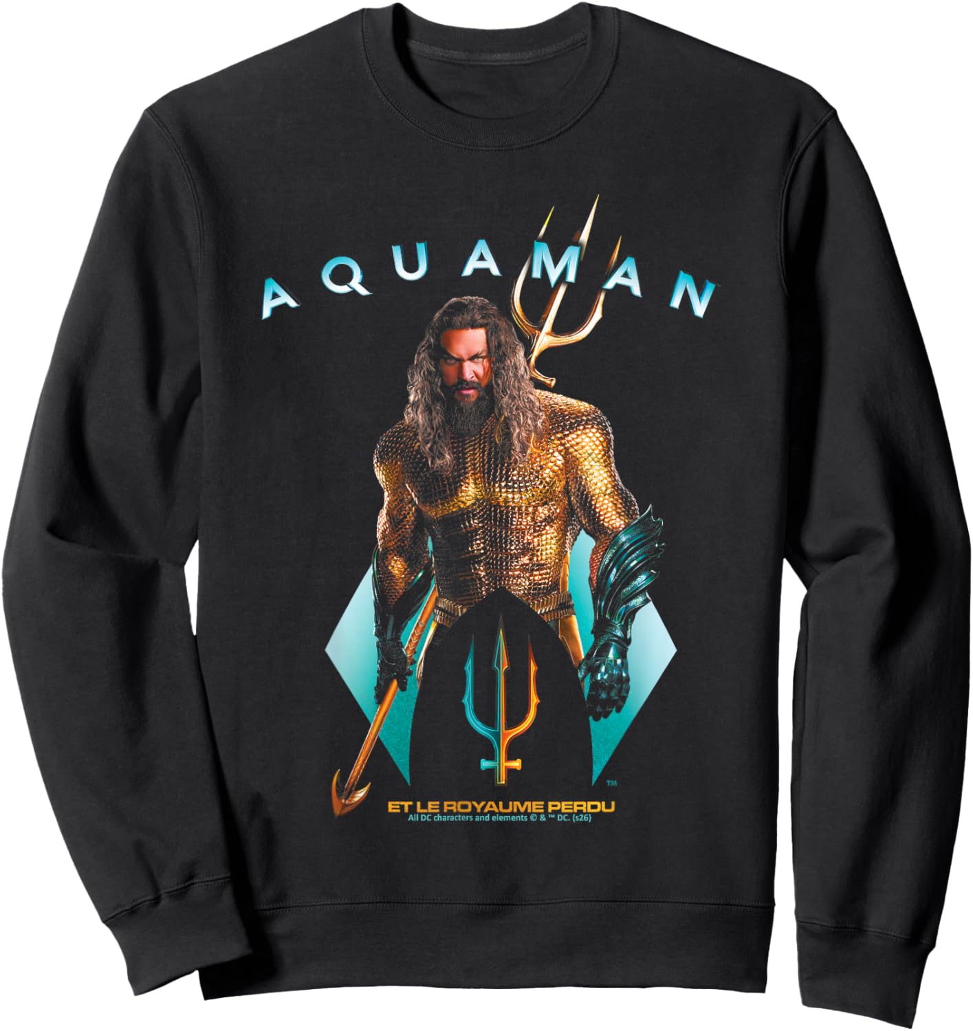 Aquaman Ocean Hero DC Comics Adventure Affichage sur Le thème de L'Aventure Sweatshirt - Sweatshirt | Black