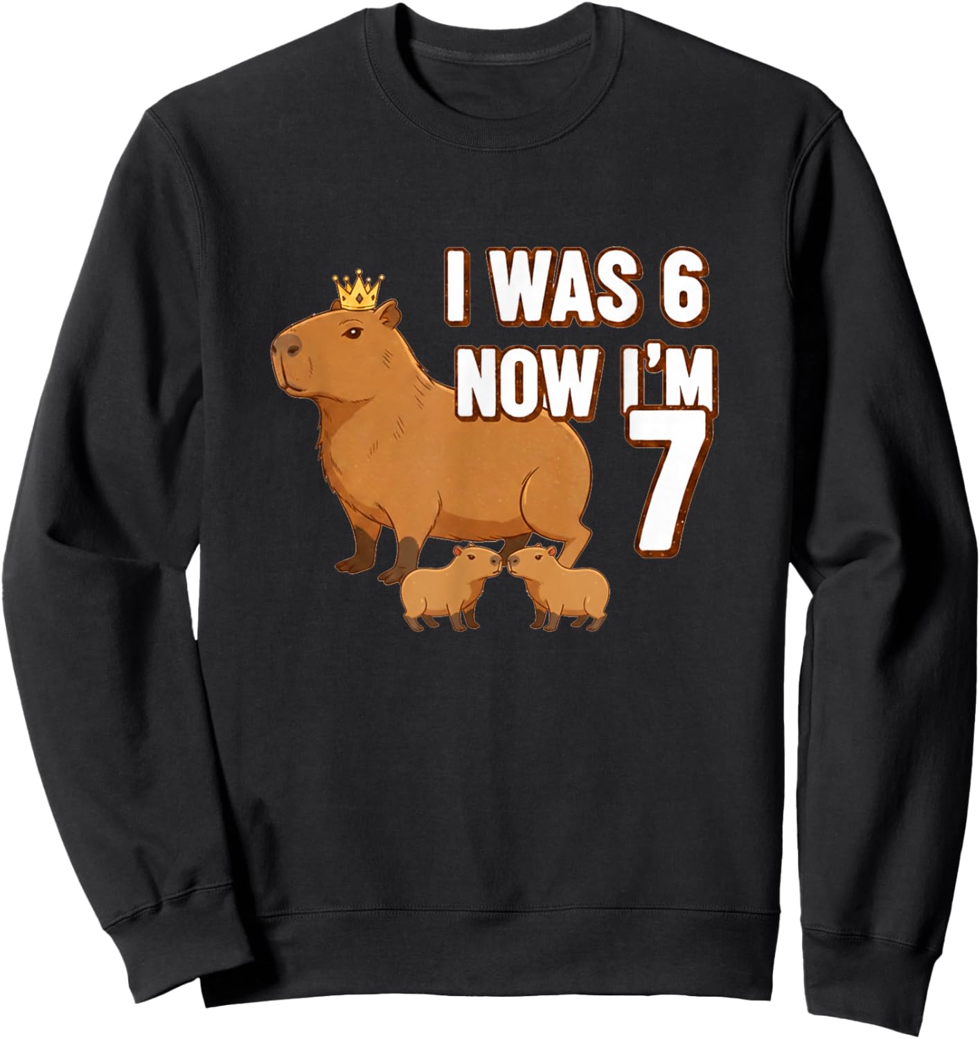 Capybara I was 6 Now I'm 7 Birthday Seven Years Old Bday Kid Sweatshirt - Sweatshirt | Black