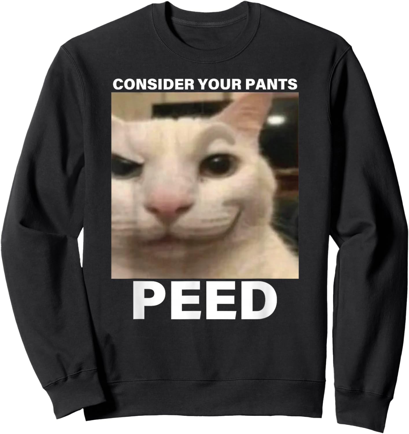 Consider Your Pants Peed Funny Cat Meme Sweatshirt - Sweatshirt | Black