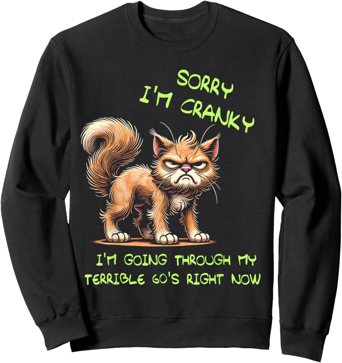 Cat Sorry I'm Cranky I'm Going Through My Terrible 60's Sweatshirt - Sweatshirt | Black