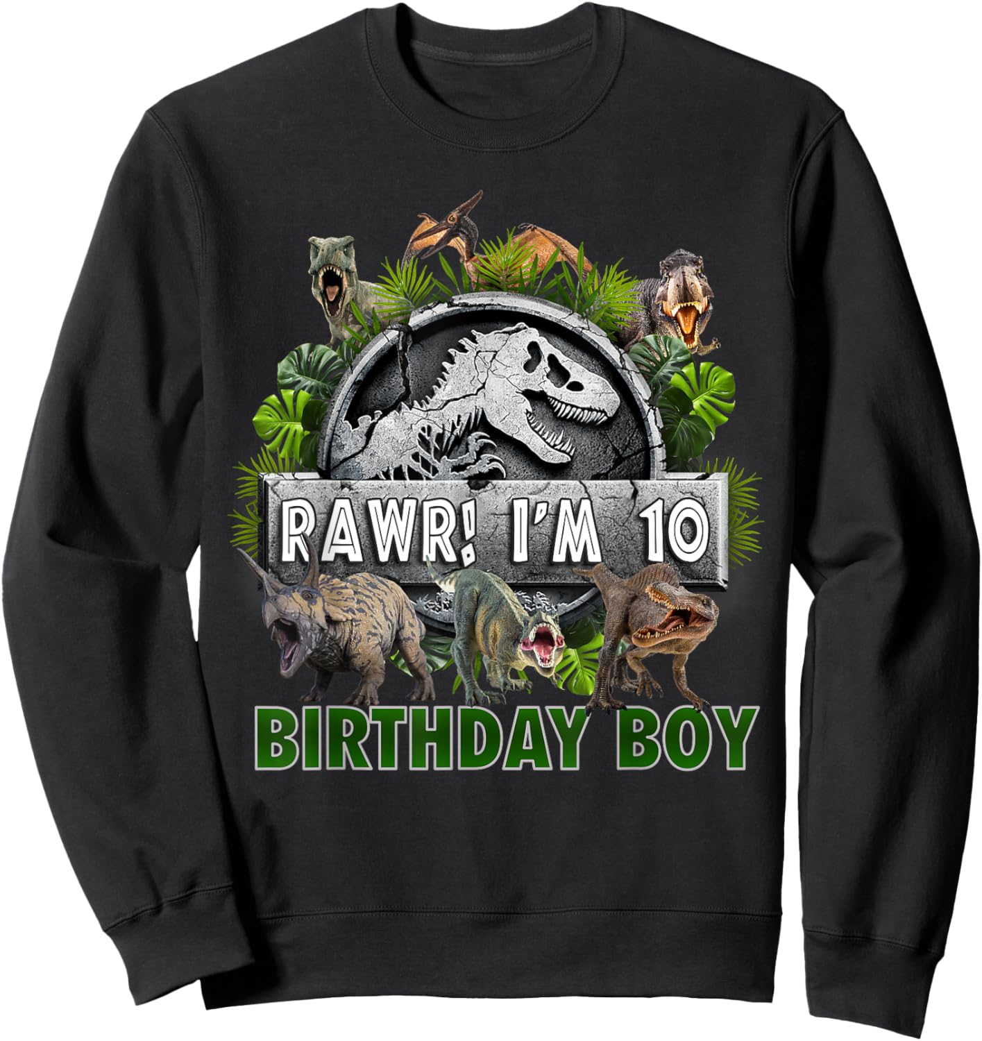 Kids 10 Year Old Shirt 10th Birthday Boy T Rex Dinosaur Sweatshirt - Sweatshirt | Black