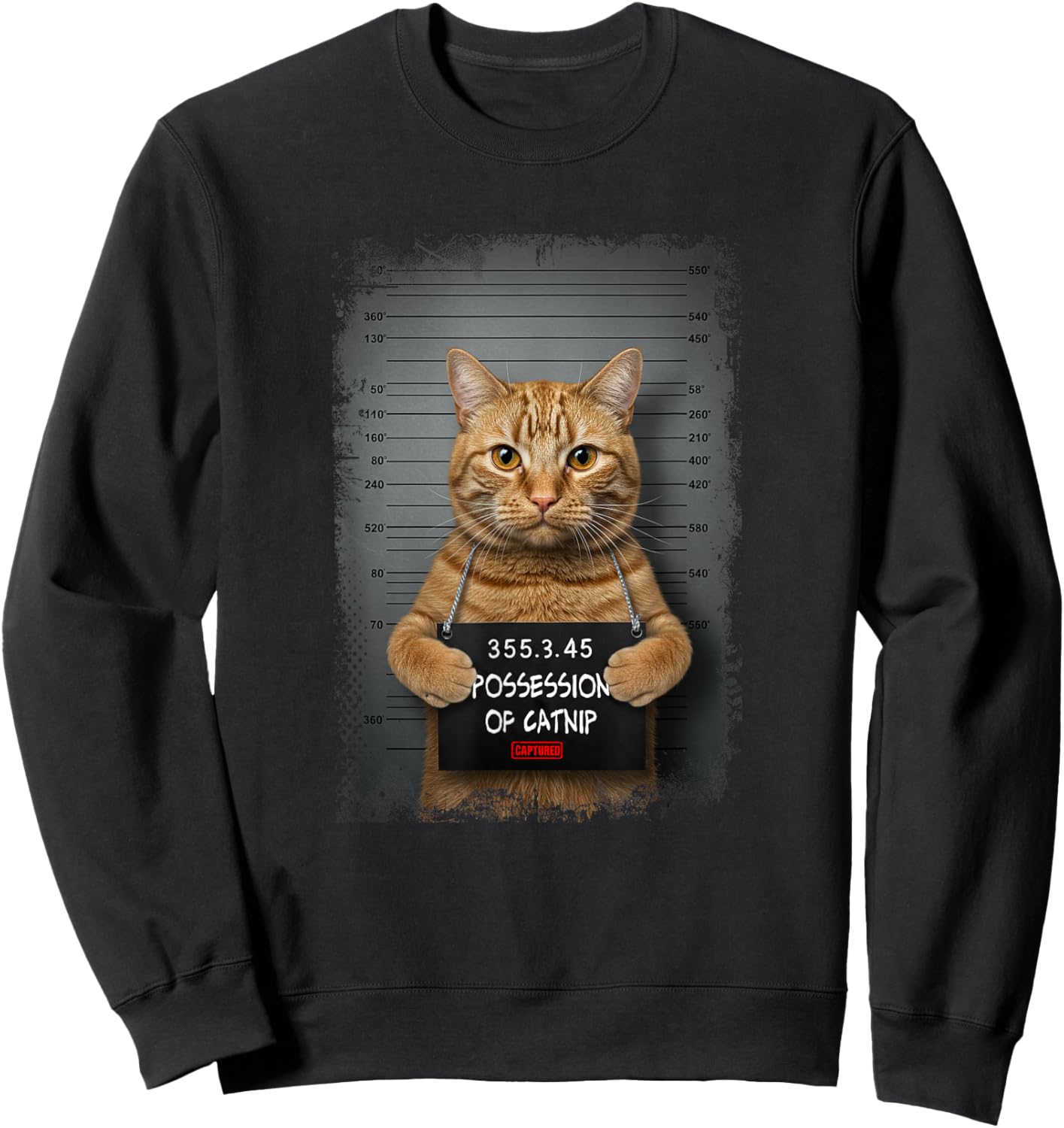 Possession of catnip ORANGE cat MUGSHOT AESTHETIC Men Women Sweatshirt - Sweatshirt | Black