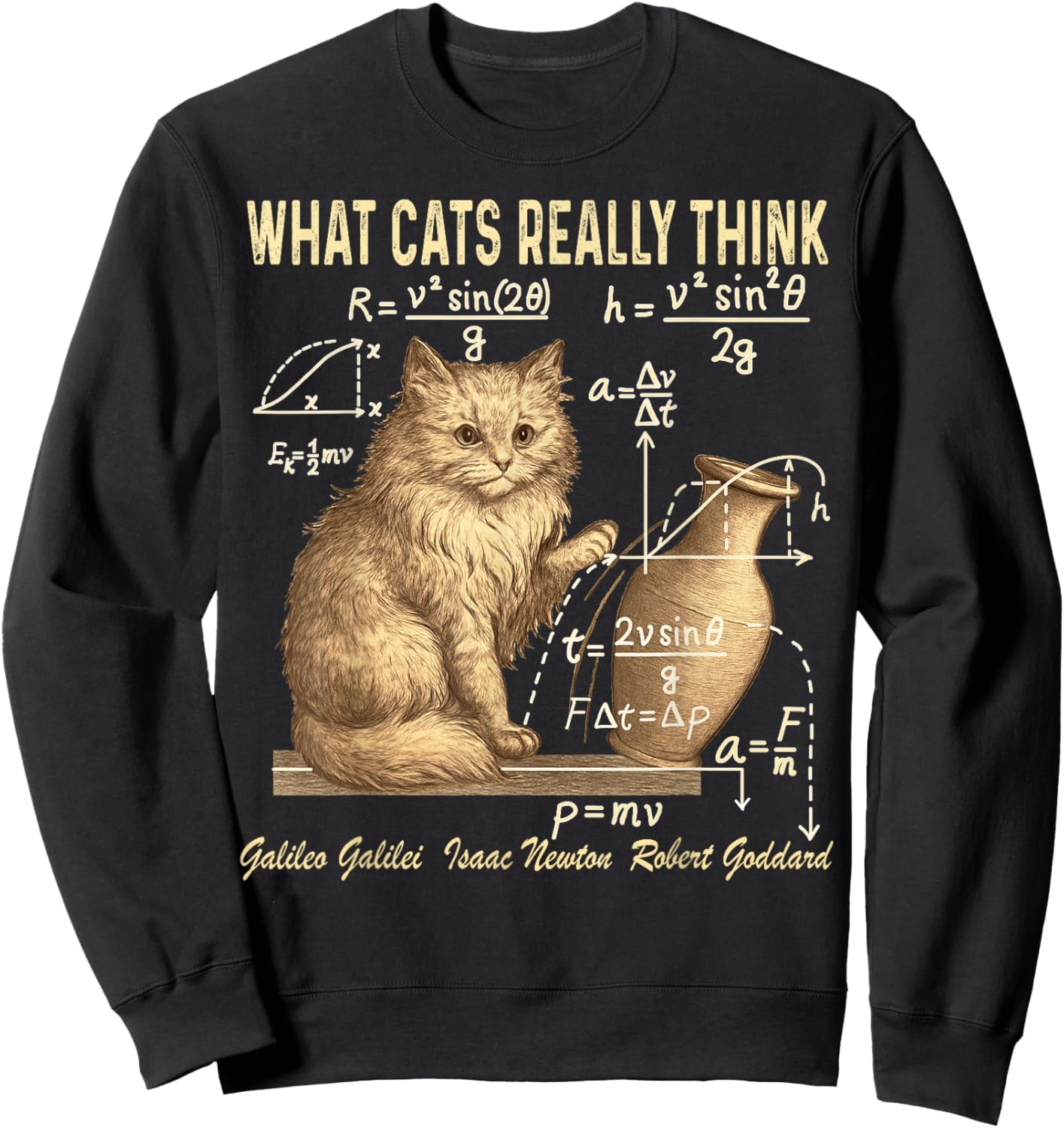 Funny Physics Science Humor What Cats Really Think Weird cat Sweatshirt - Sweatshirt | Black