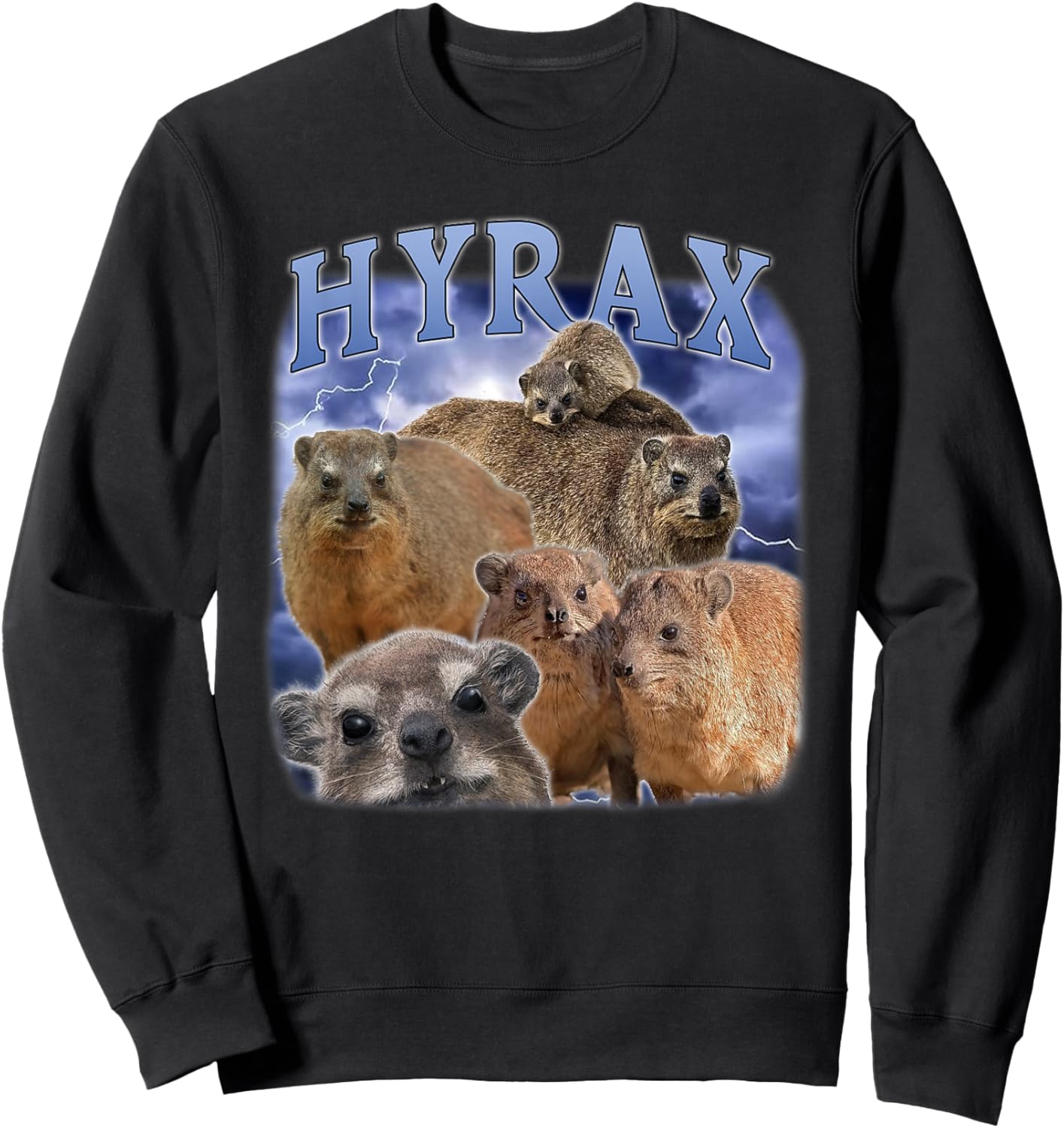 Hyrax Fire Meme Lustiger Tierliebhaber Humor Rock Hyrax Sweatshirt - Sweatshirt | Black