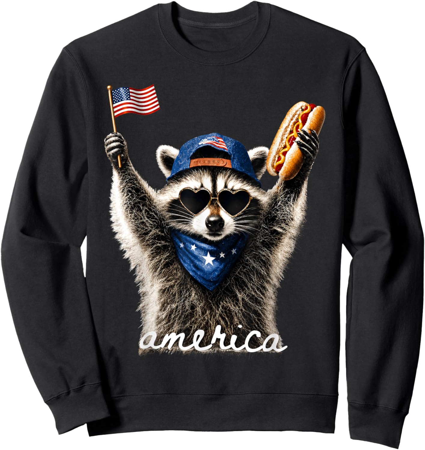 USA America Raccoon Hot Dog 1776-2026 4th of July 250 Years Sweatshirt - Sweatshirt | Black