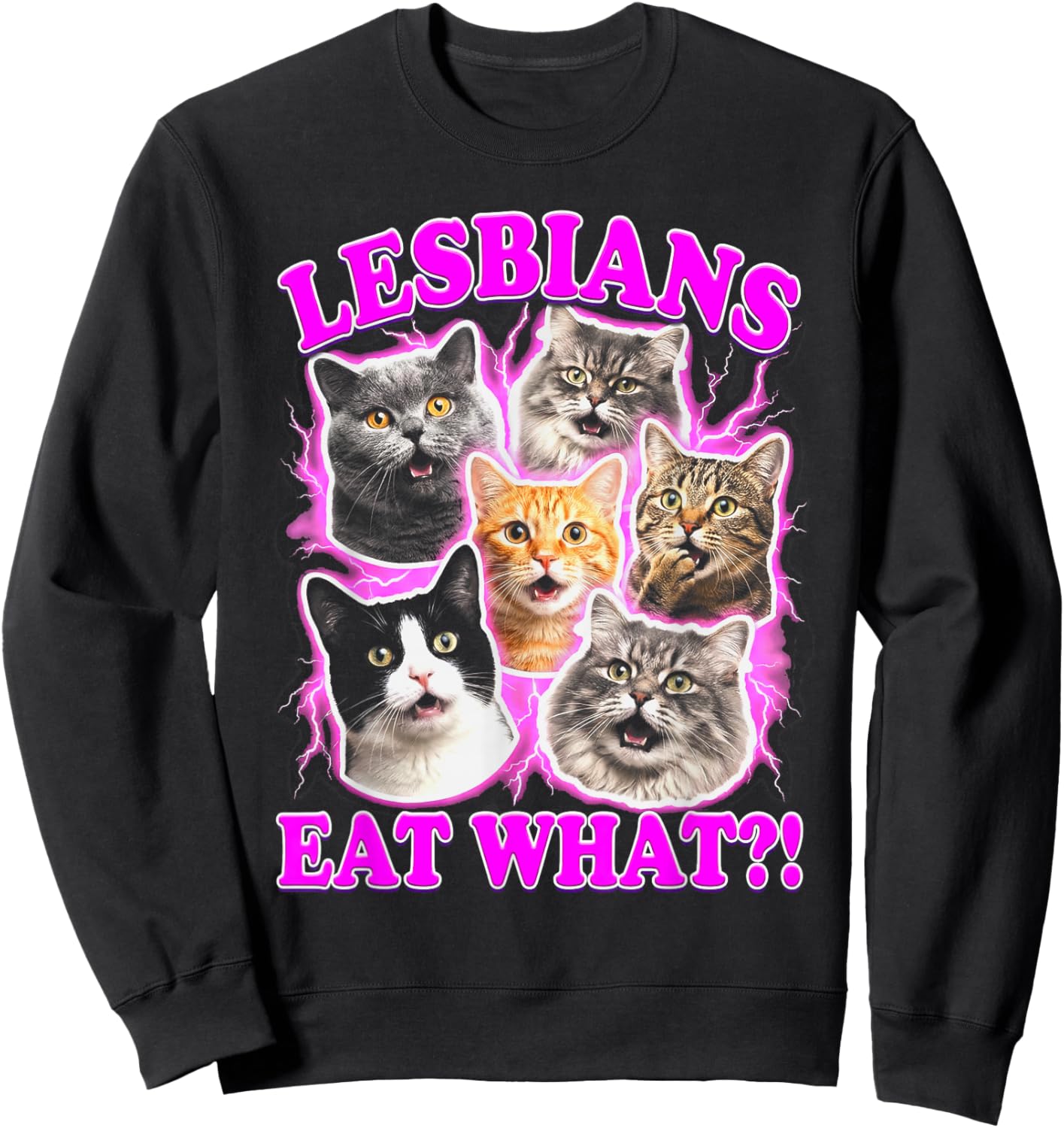 Lesbians Eat What Funny Cat Gay Pride LGBTQ Pun Sweatshirt - Sweatshirt | Black