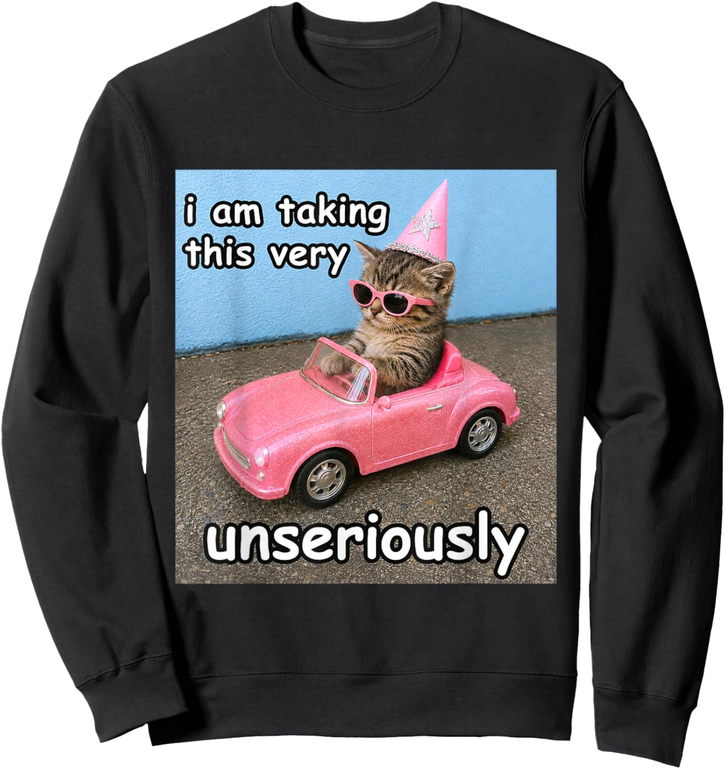 I Am Taking This Very Unseriously Silly Cat Meme Sweatshirt - Sweatshirt | Black