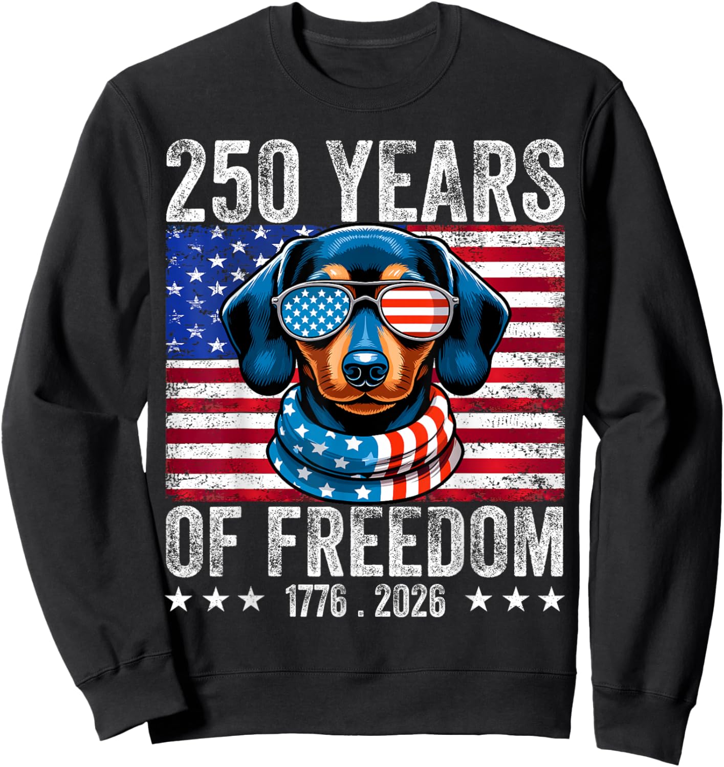 250 Anniversary USA Dog Dachshund 4th of July Sweatshirt - Sweatshirt | Black