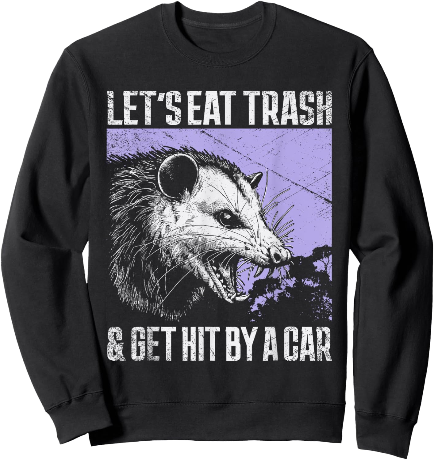 Let's Eat Trash & Get Hit By a Car Possum Street Cat Funny Sweatshirt - Sweatshirt | Black