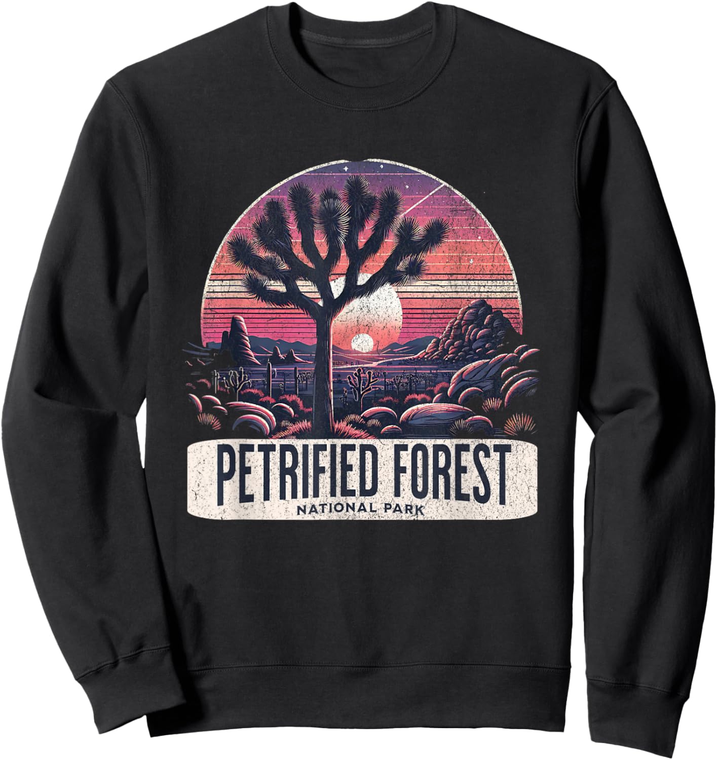 Petrified Forest National Park Sweatshirt - Sweatshirt | Black