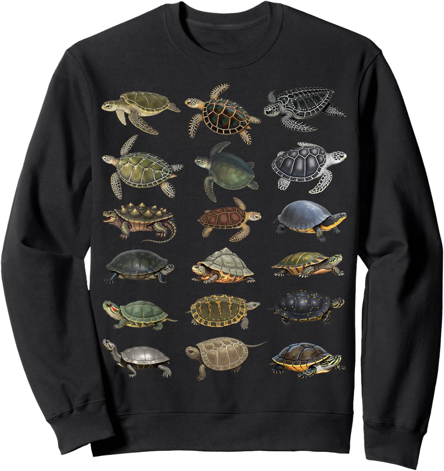 Types of Turtles Sea & Freshwater Turtle Species Educational Sweatshirt - Sweatshirt | Black