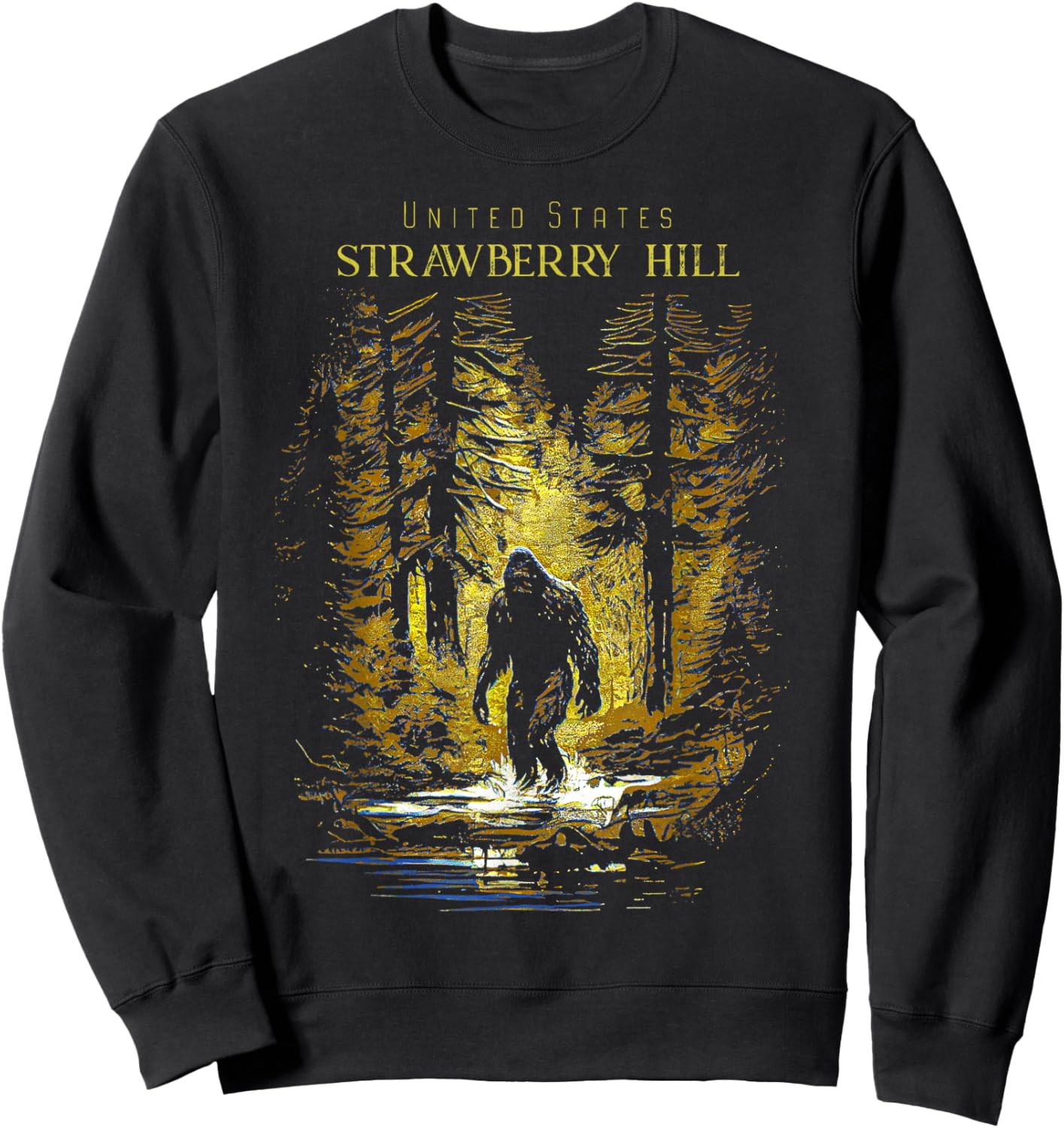 Strawberry Hill United States Sweatshirt - Sweatshirt | Black