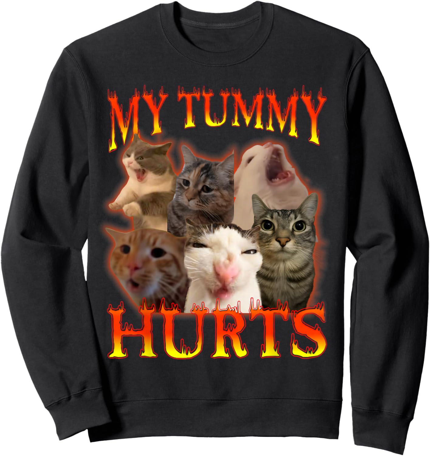 My Belly Really Hurts Cat Lactose Intolerant Sweatshirt - Sweatshirt | Black
