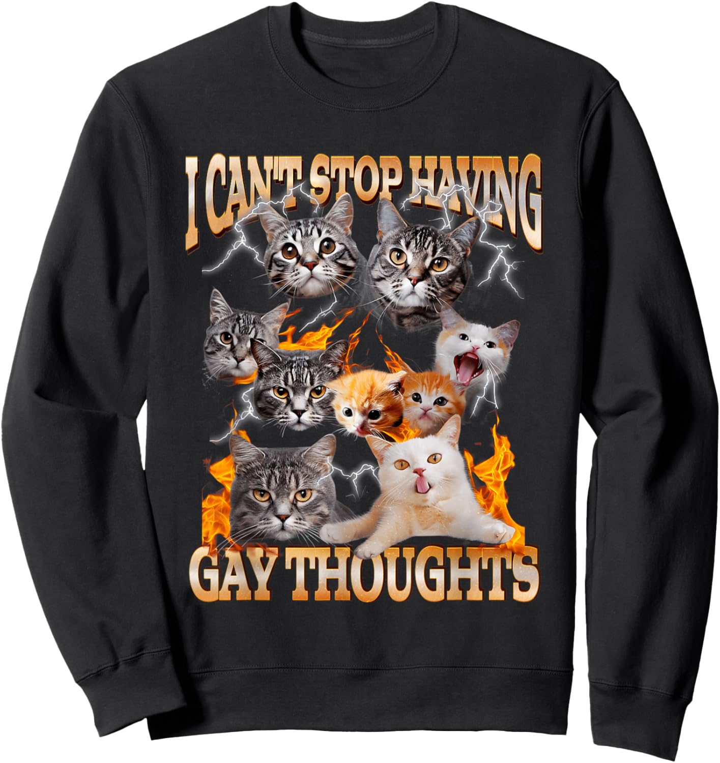 I Can't Stop Having Gay Thoughts Funny Cat Meme Bootleg Sweatshirt - Sweatshirt | Black