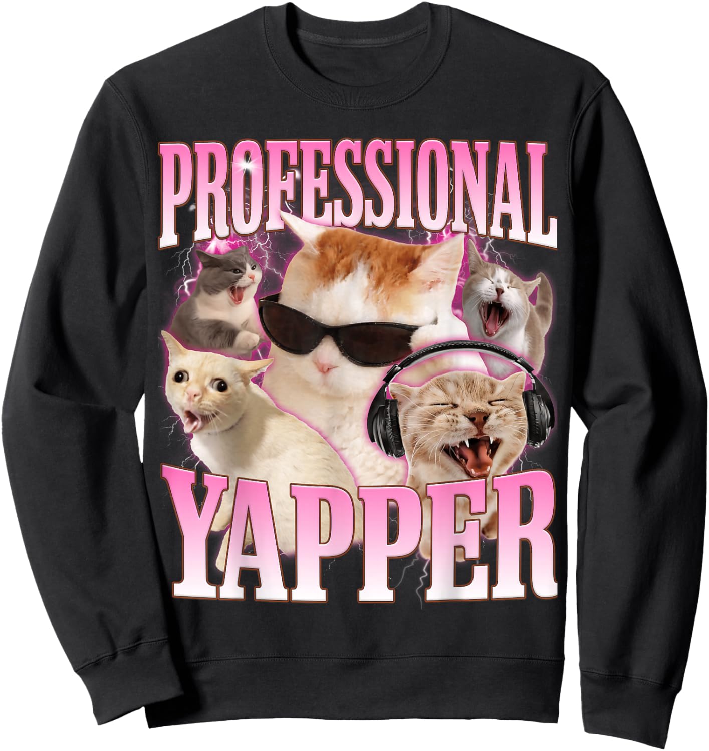 Professional Yapper Cat Funny Oddly Specific Dank Meme Sweatshirt - Sweatshirt | Black