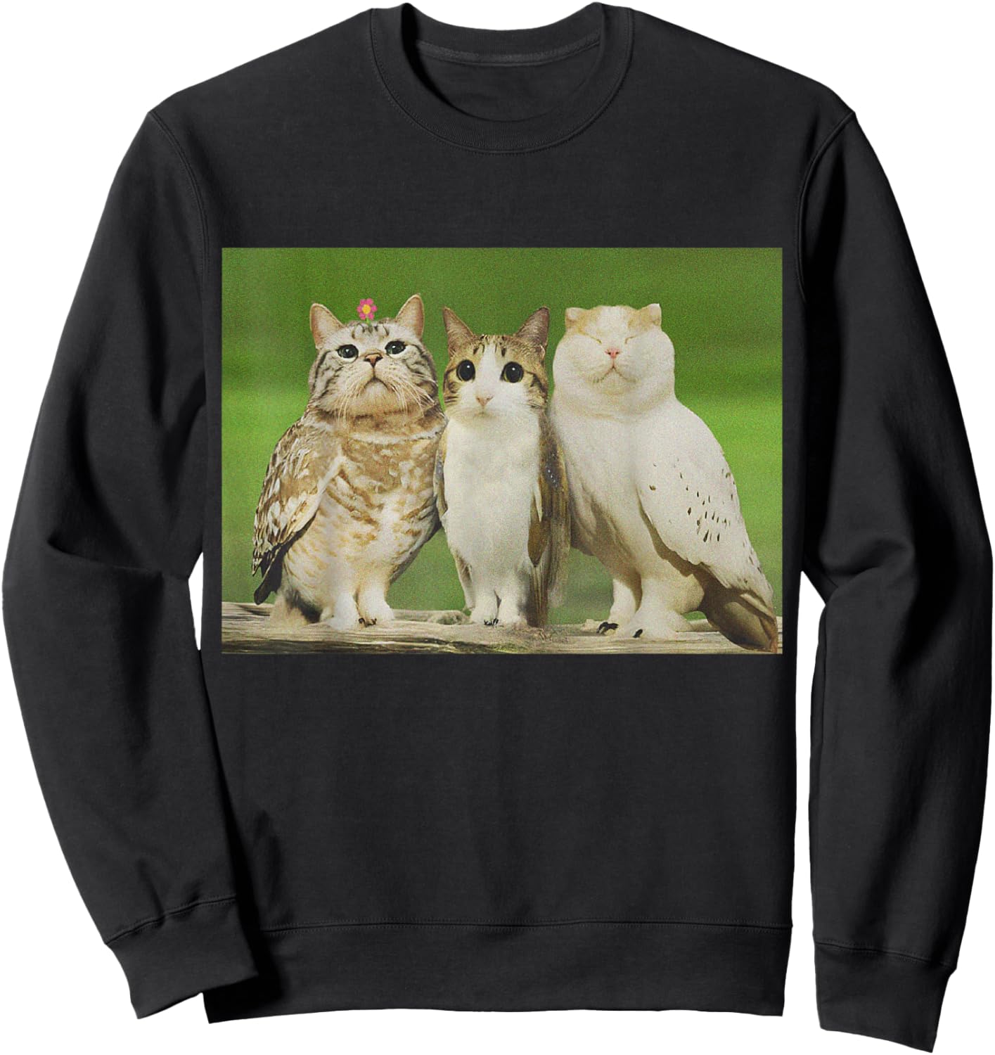 Trio Cat Owl Funny Cursed Internet Trendy Meme Sweatshirt - Sweatshirt | Black