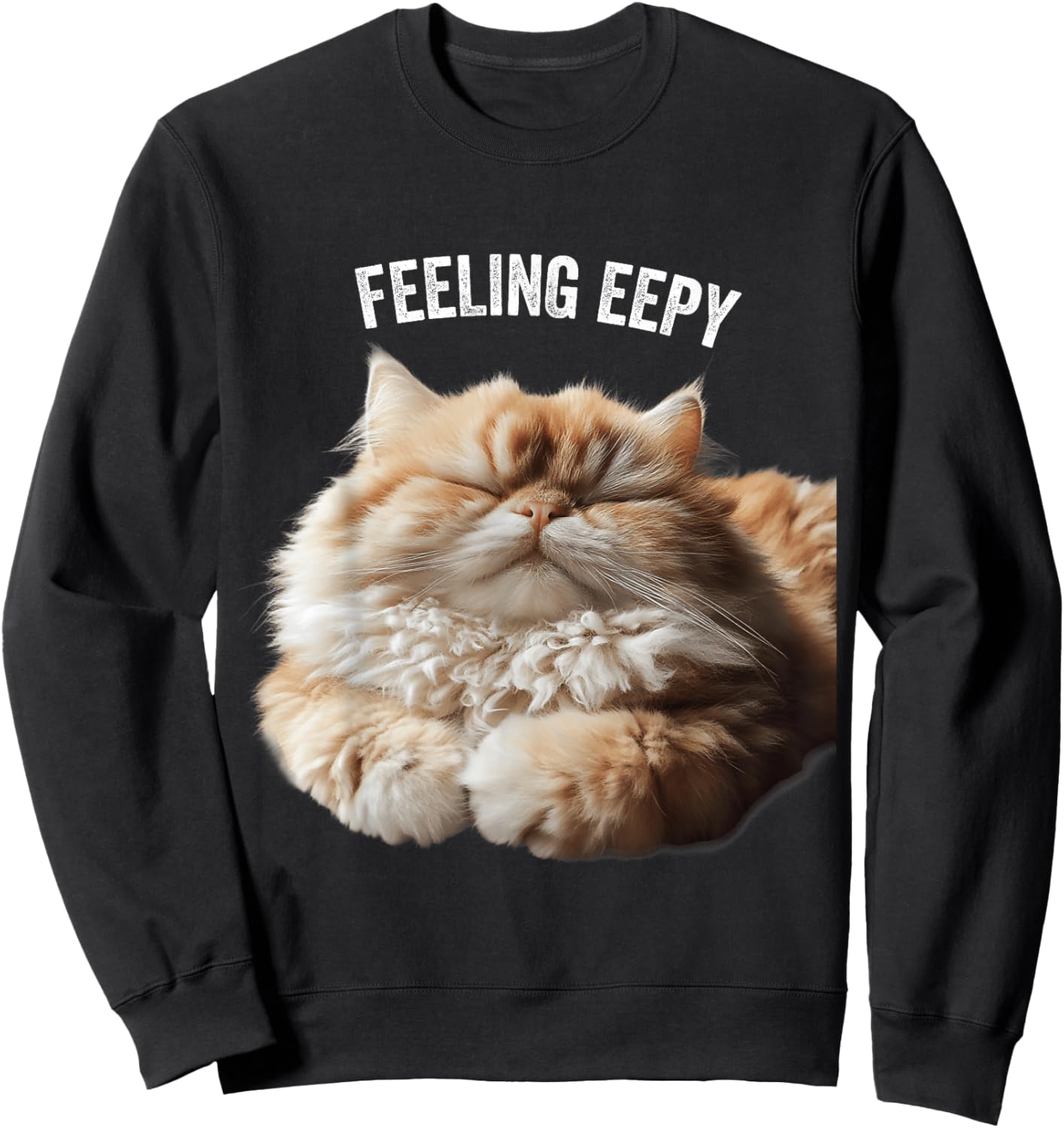 Eepy Cat, Silly Sleepy Cat Meme Cute fluffy cat lovers Sweatshirt - Sweatshirt | Black