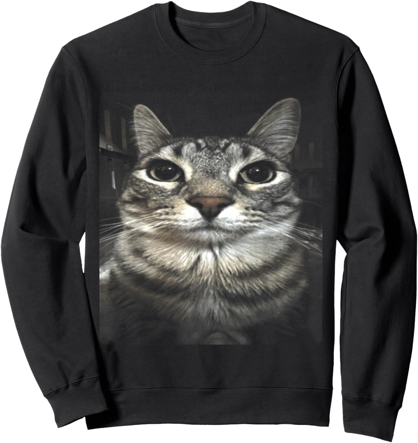 Silly Cat Meme Sweatshirt - Sweatshirt | Black