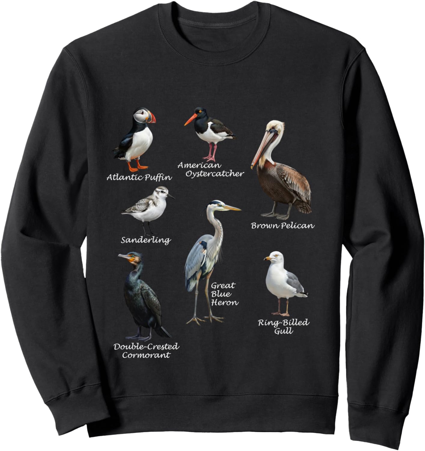 Shore Birds Biologist Ornithologist Nature Bird Long Handle Sweatshirt - Sweatshirt | Black