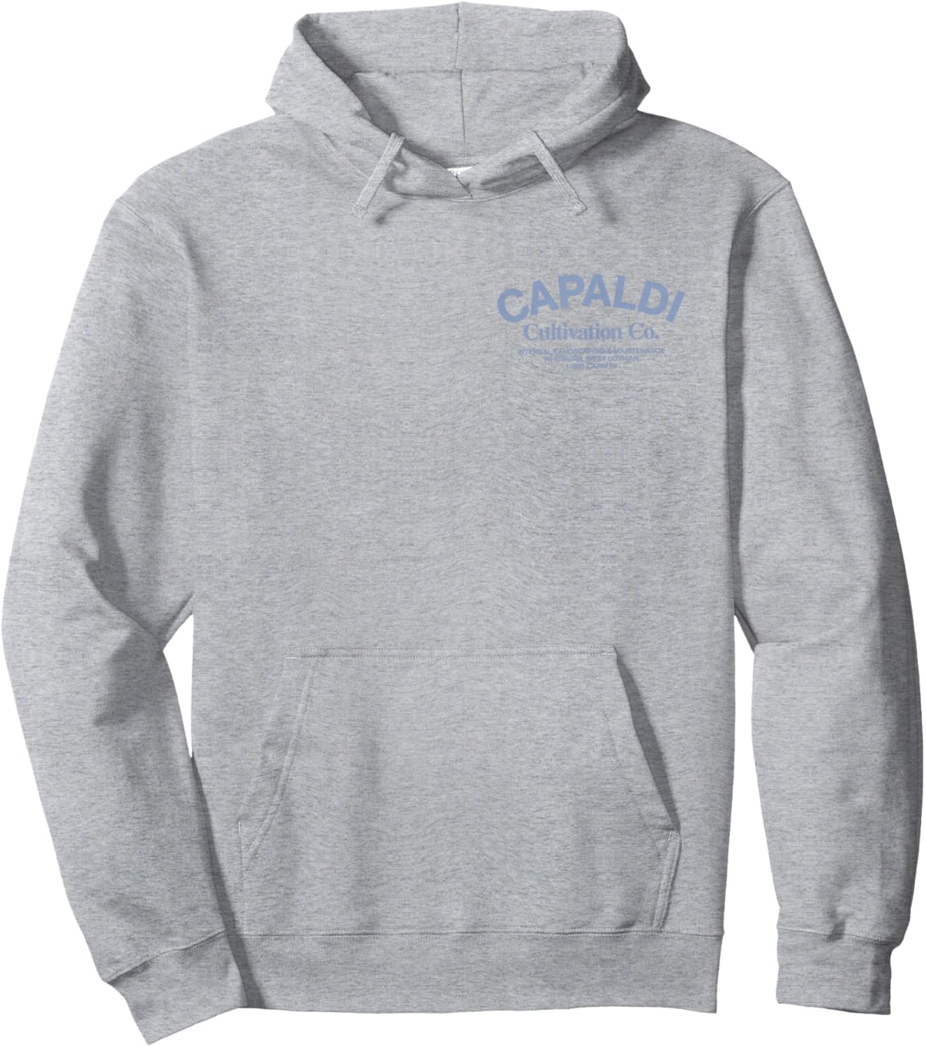 2026 Tour Boston Hoodie - Hoodie | Ash