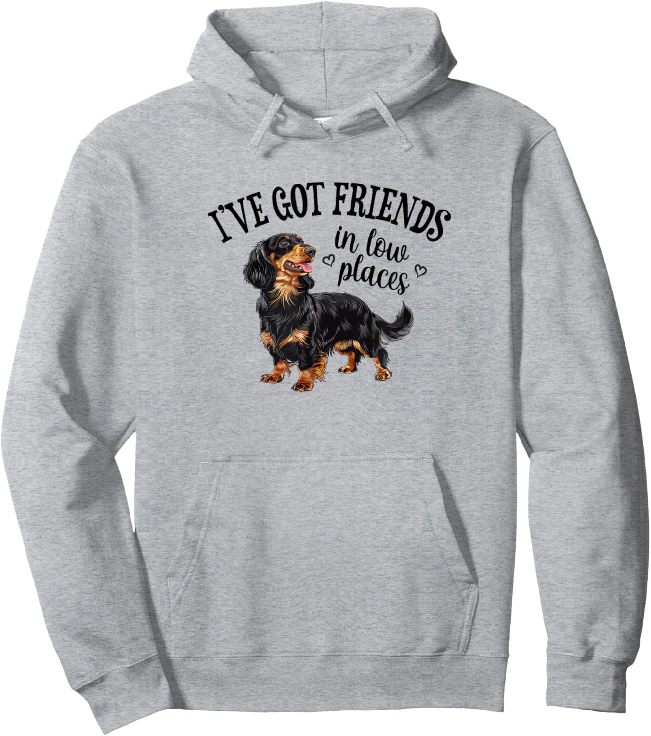 Funny Friends Low Places Black Long Haired Dachshund Lover Hoodie - Hoodie | Ash