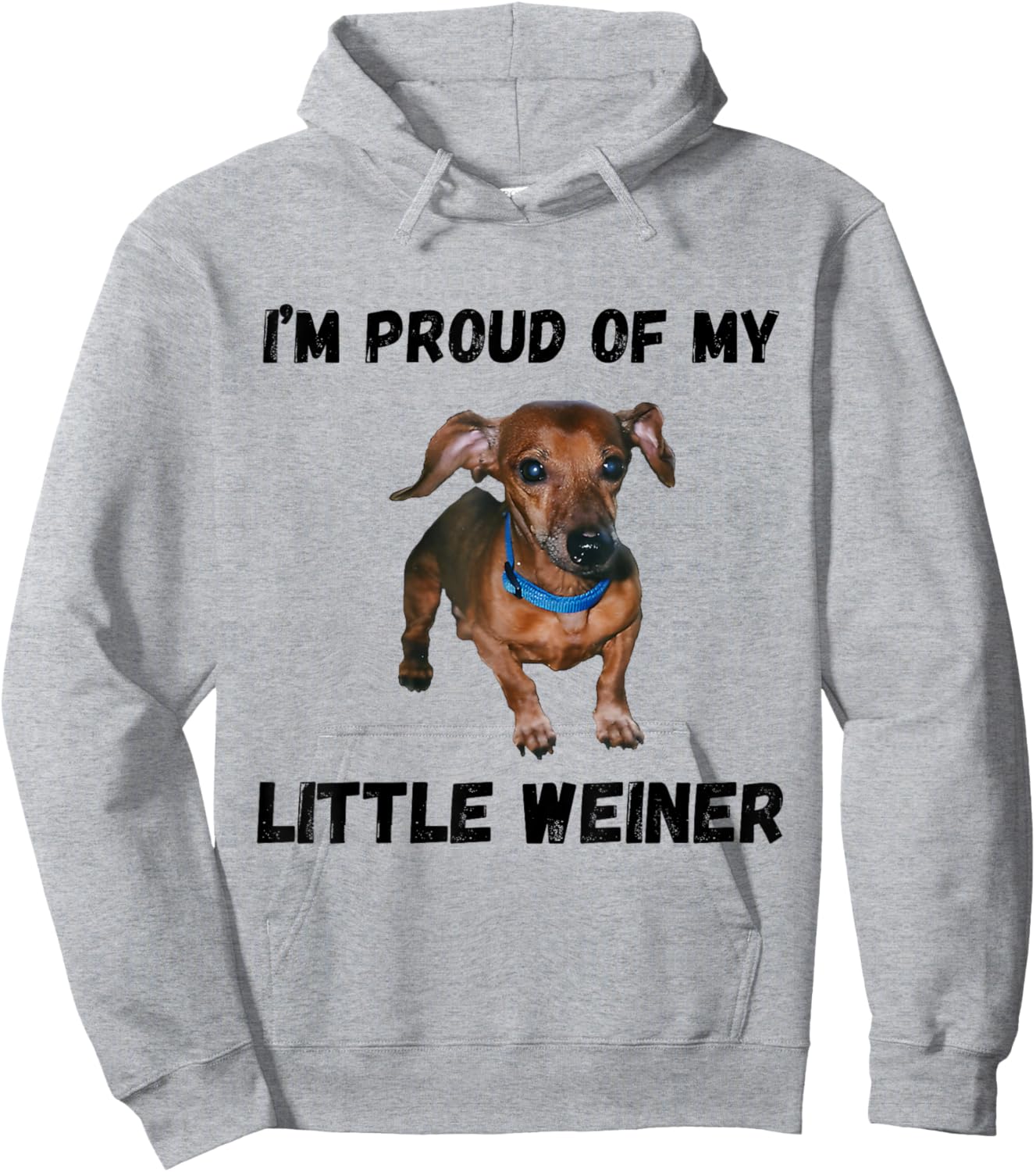 I'm Proud Of My Little Weiner Funny Dachshund Dog Lover Hoodie - Hoodie | Ash