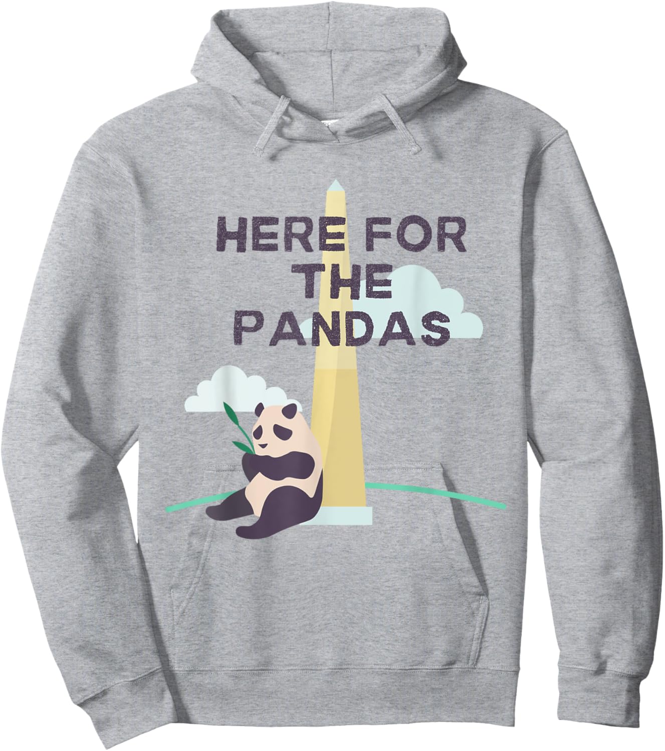 Washington DC Family Trip Funny Panda Zoo DC Trip Hoodie - Hoodie | Ash