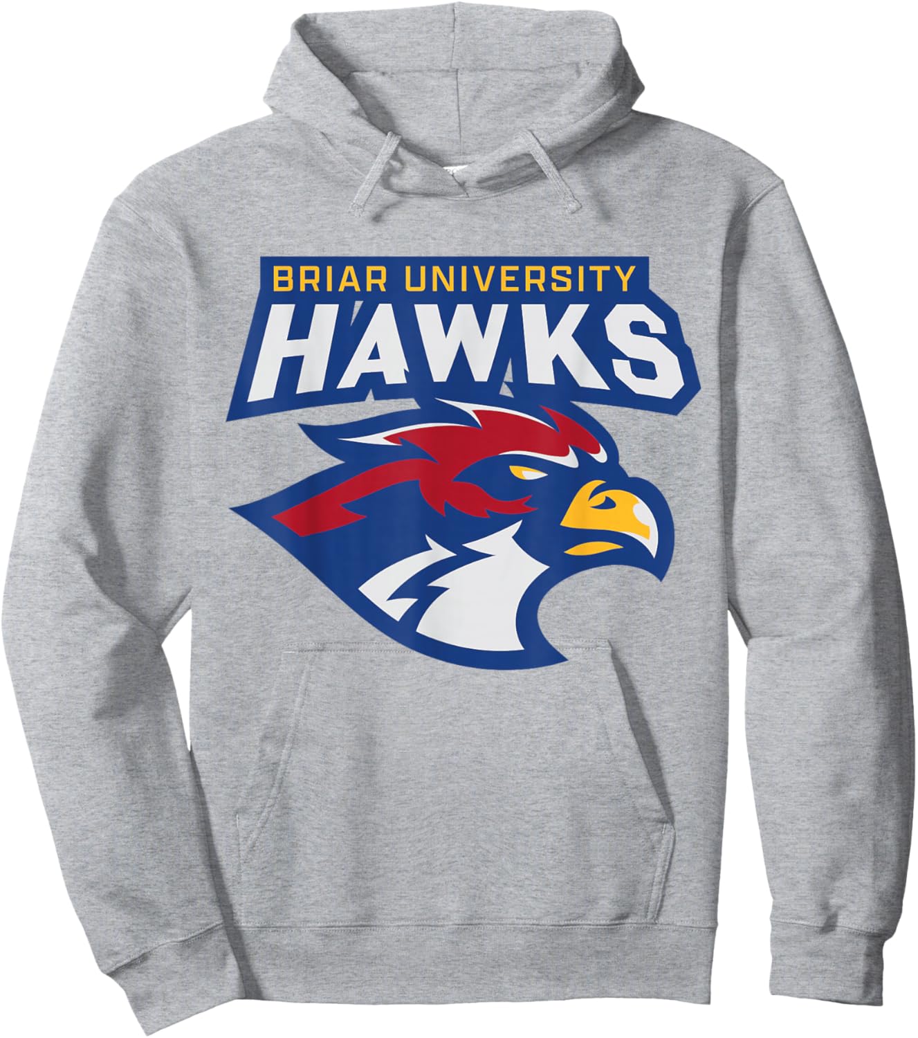 Briar University Hawks Hoodie - Hoodie | Ash